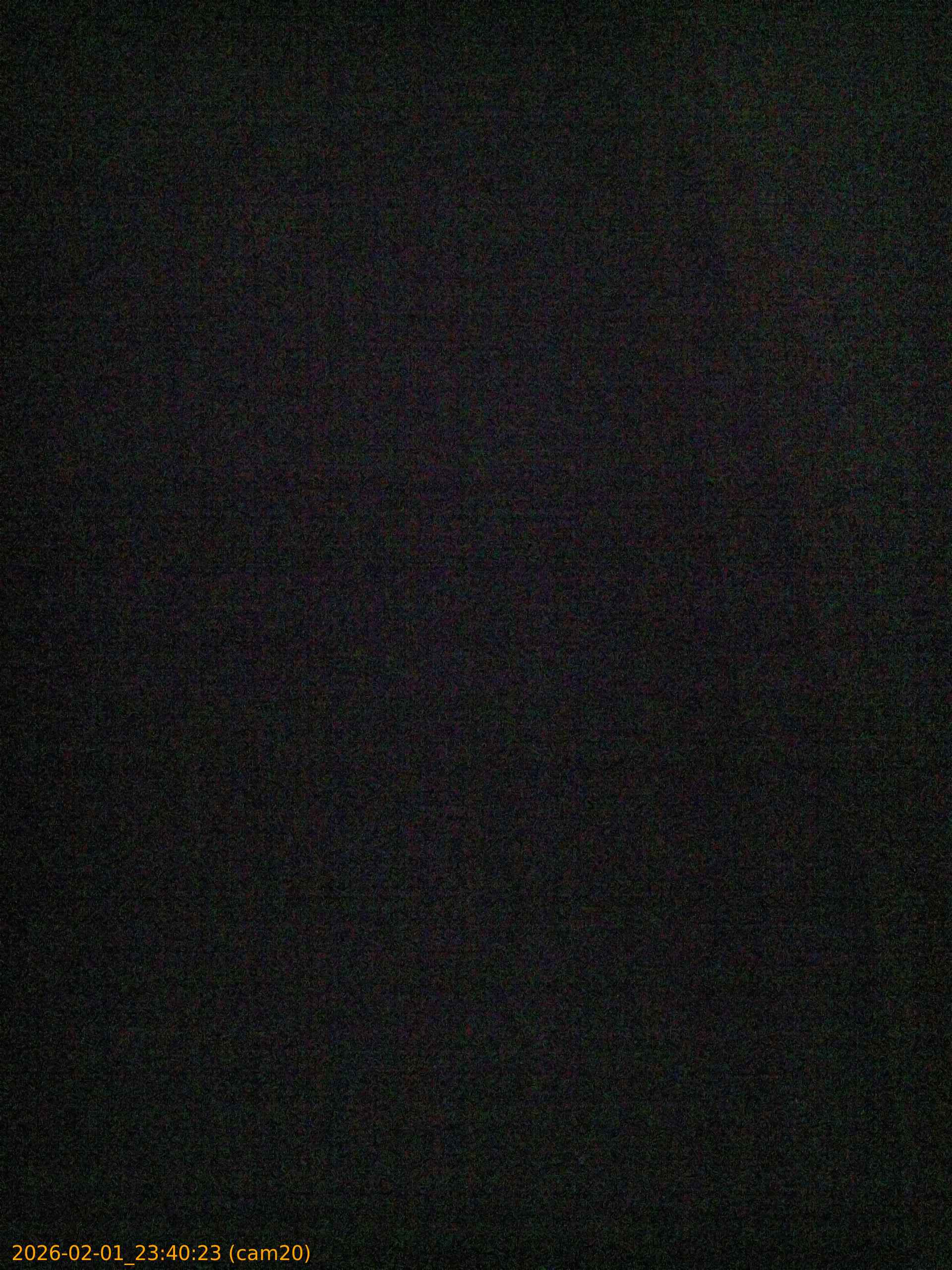 thumbnail_20260201234023