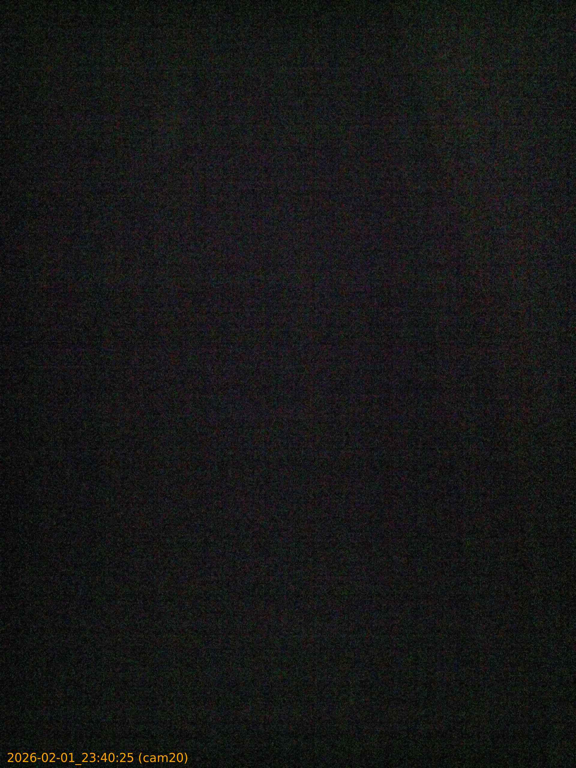 thumbnail_20260201234025