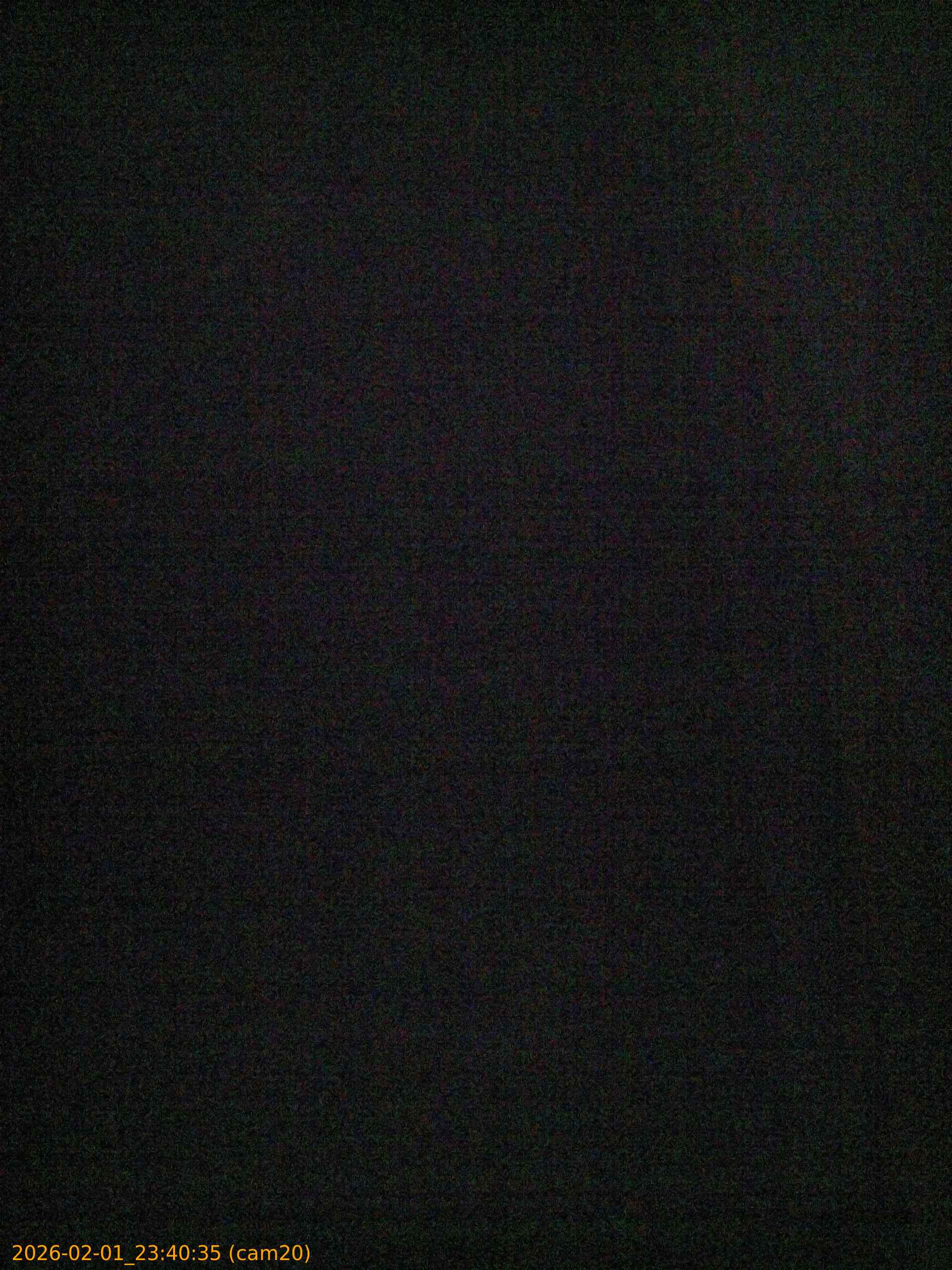 thumbnail_20260201234035