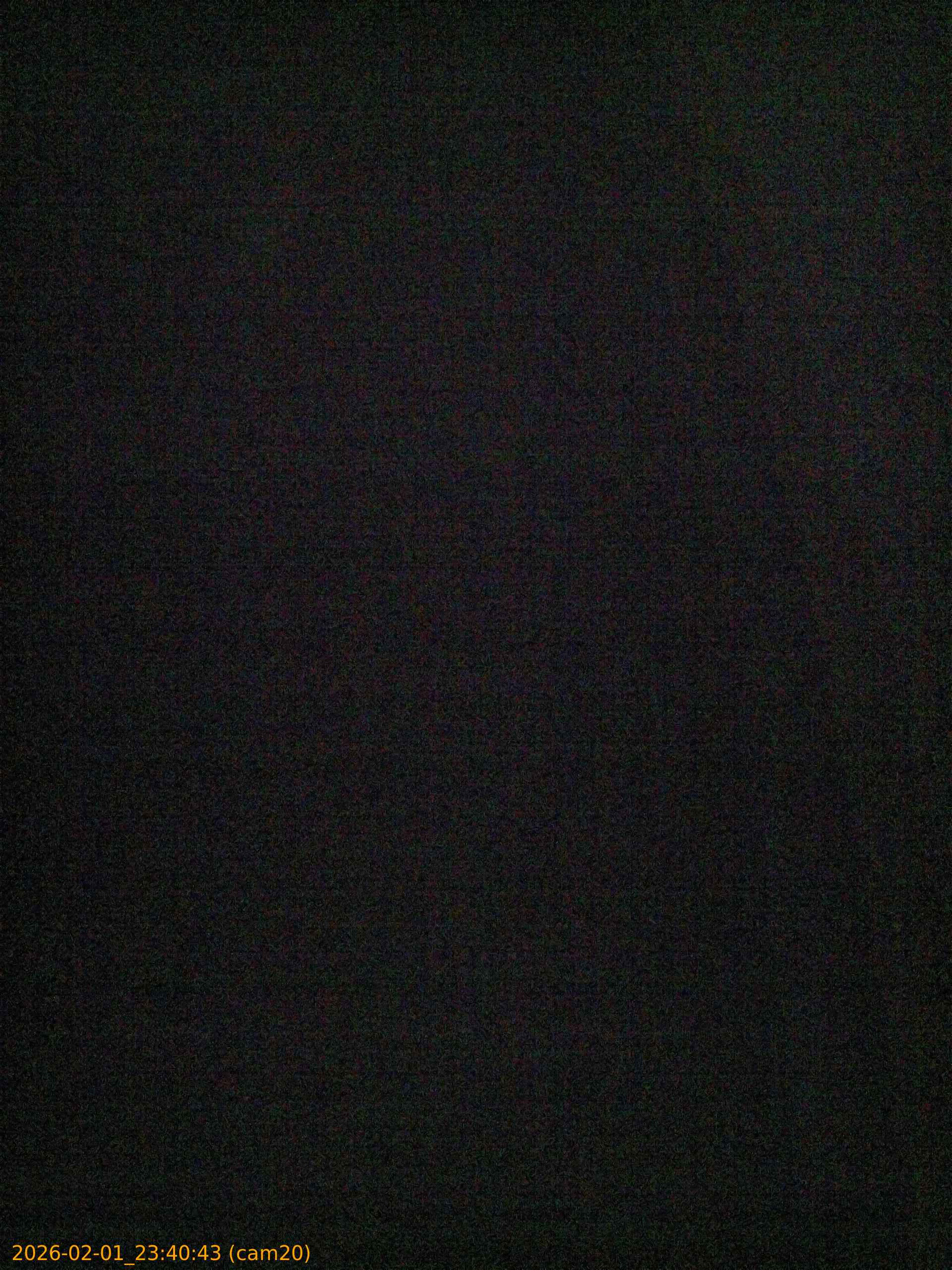 thumbnail_20260201234043