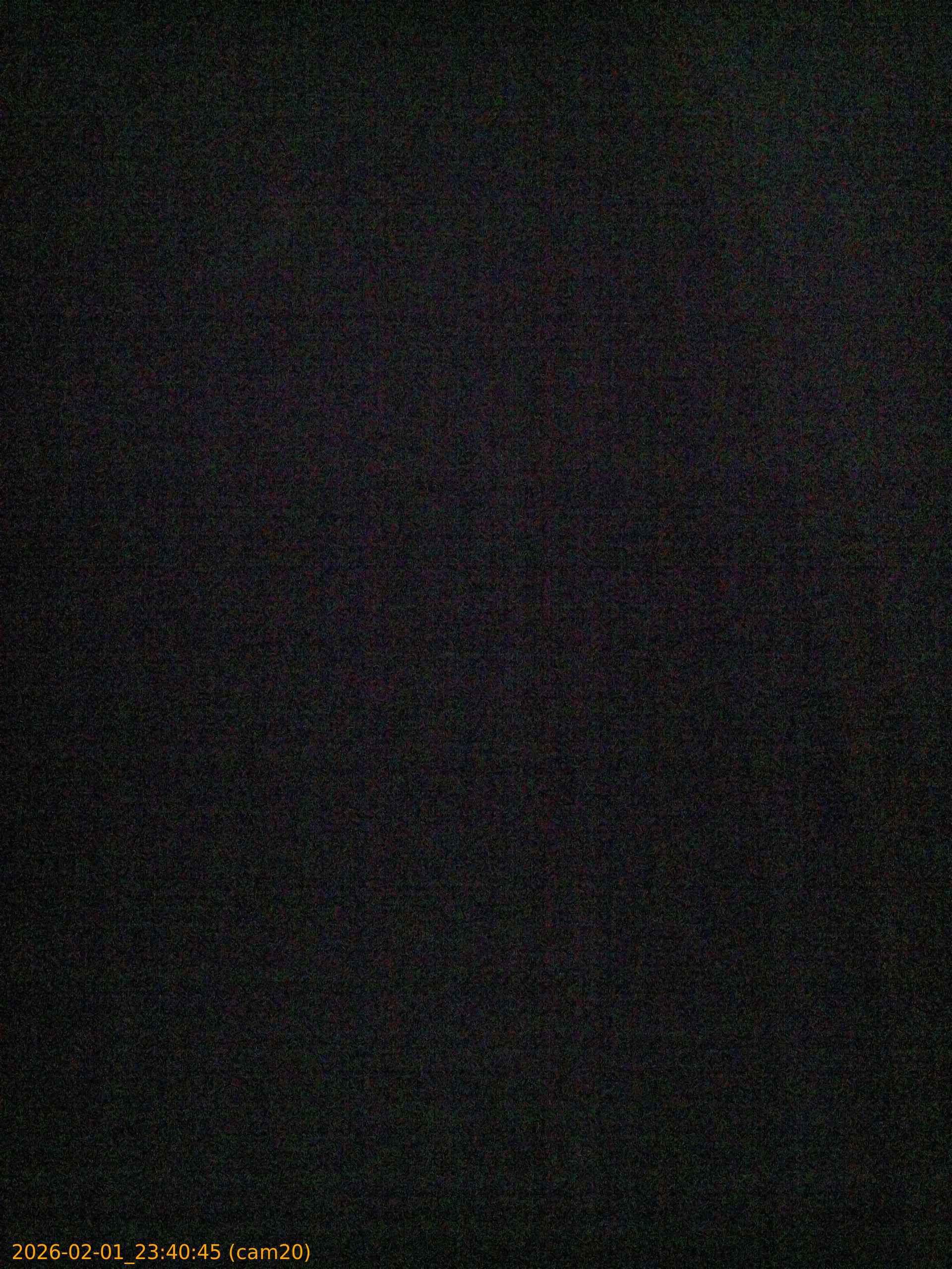 thumbnail_20260201234044