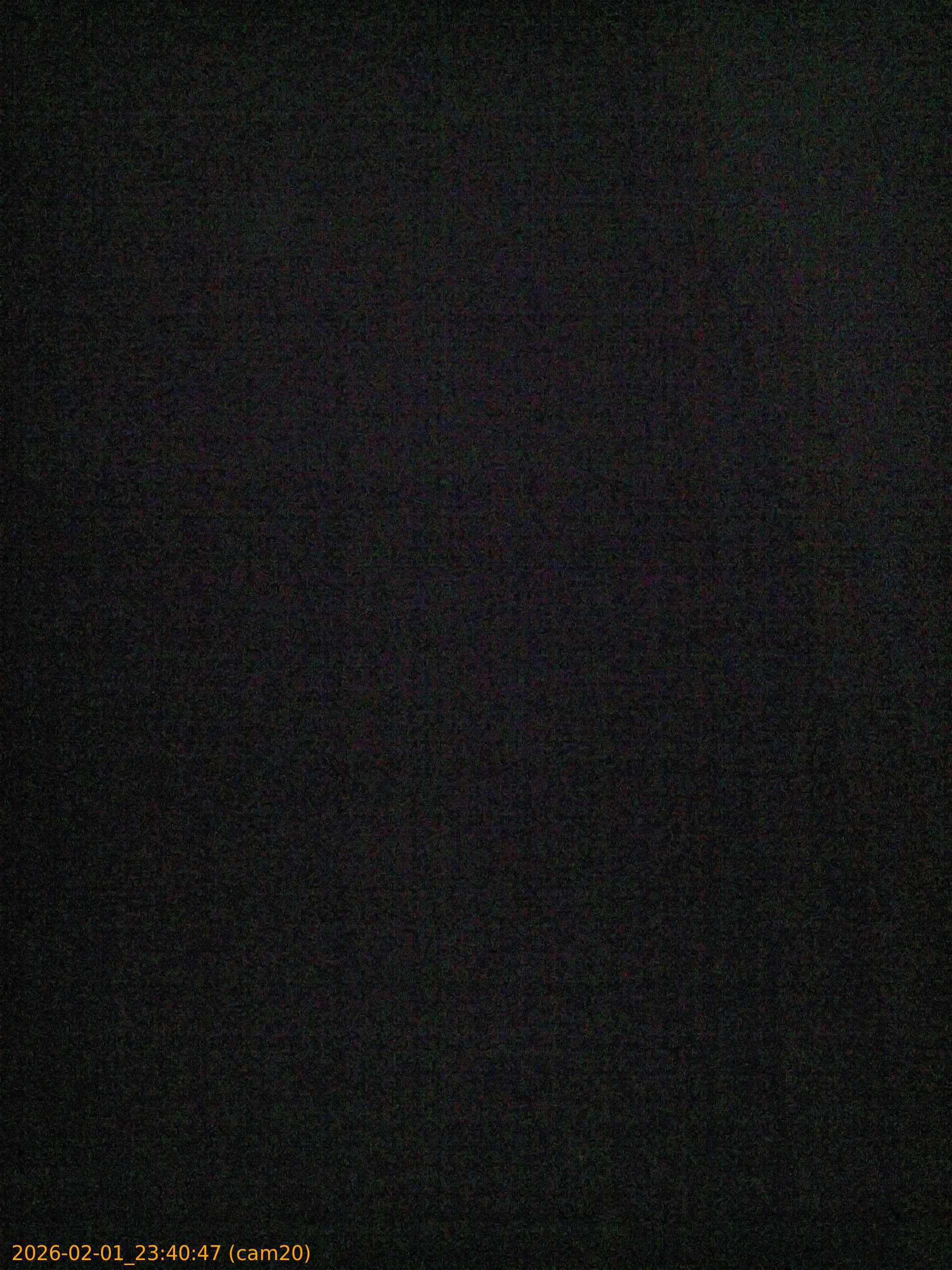 thumbnail_20260201234047