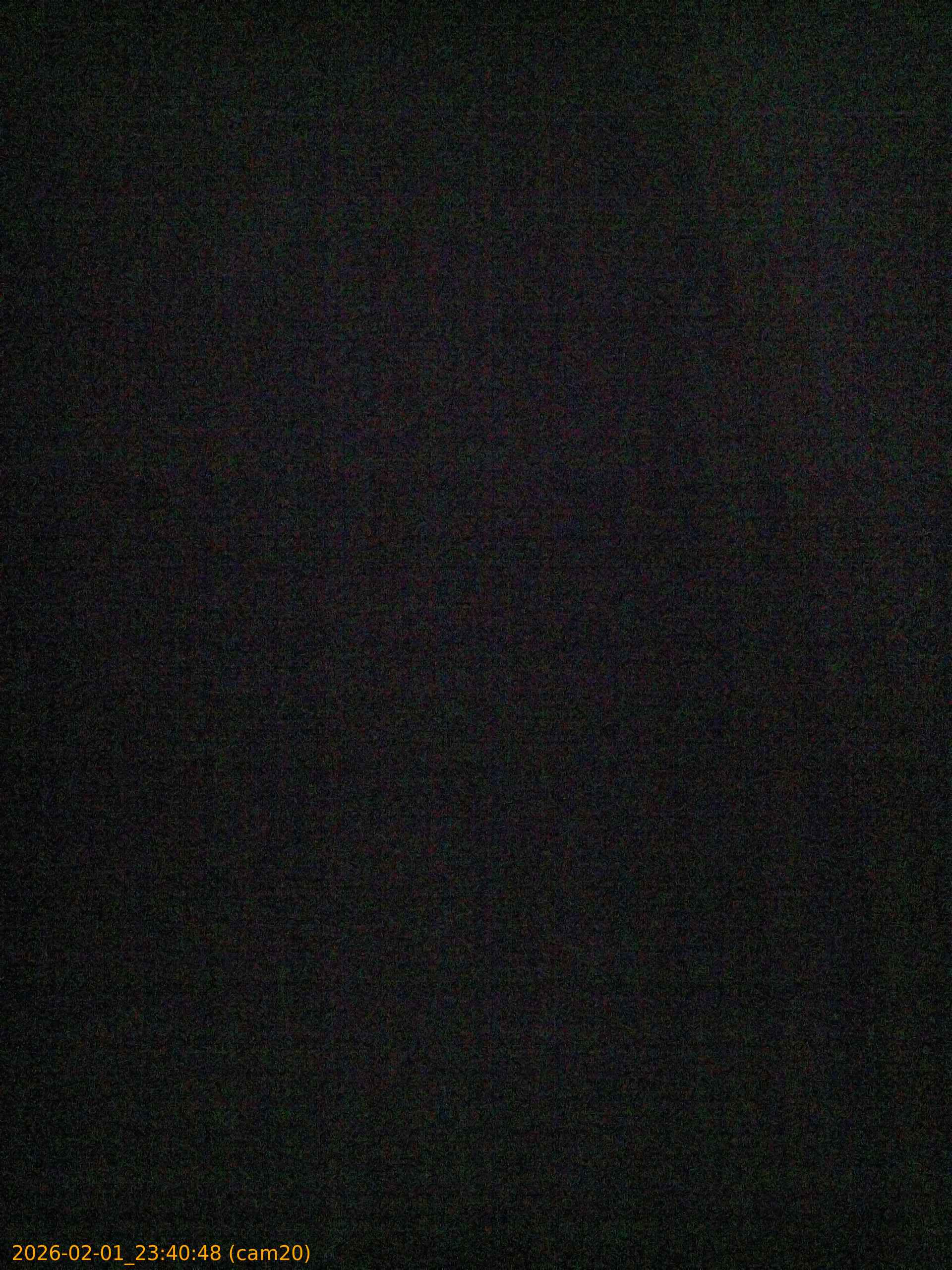 thumbnail_20260201234048