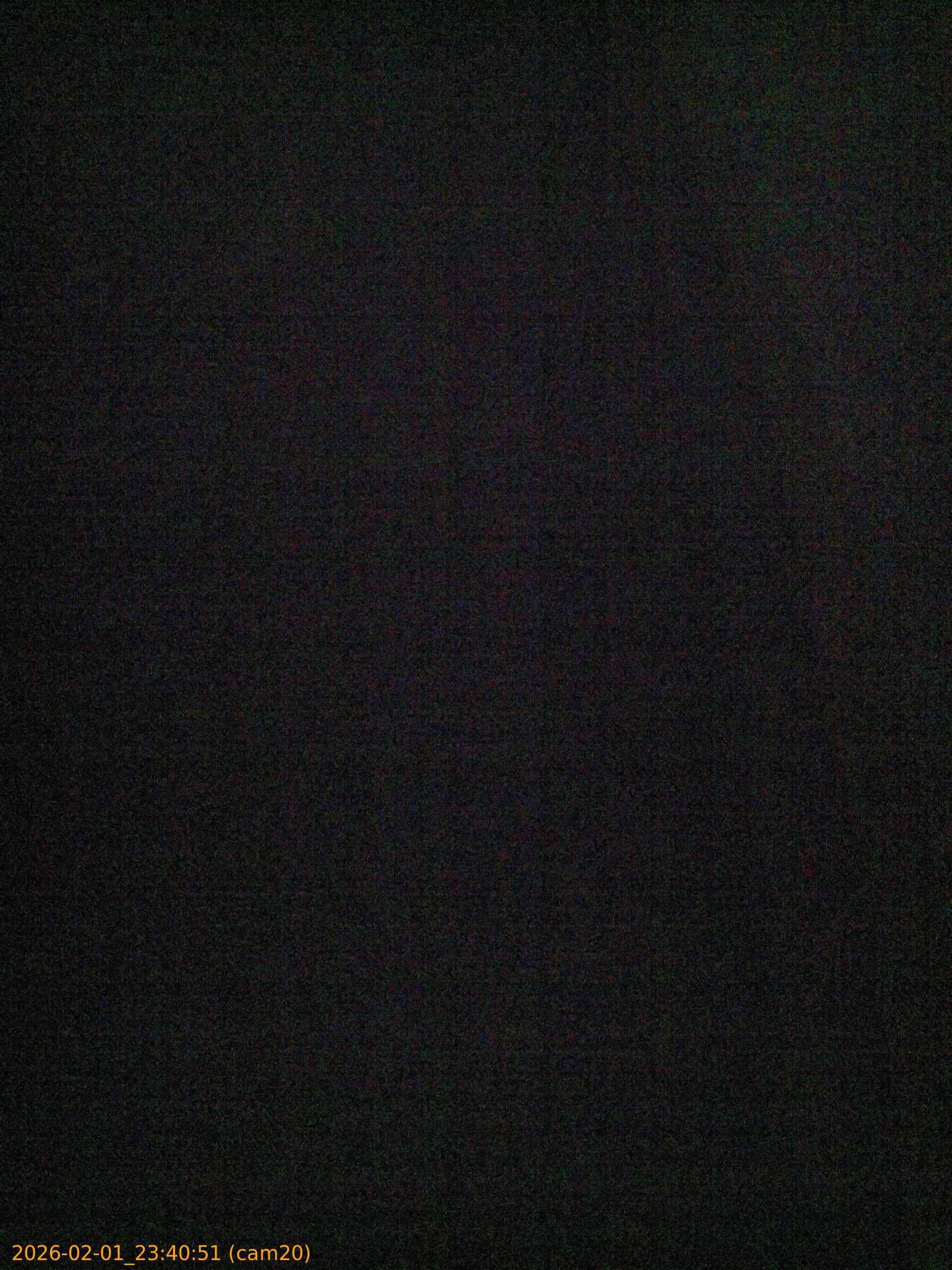 thumbnail_20260201234051