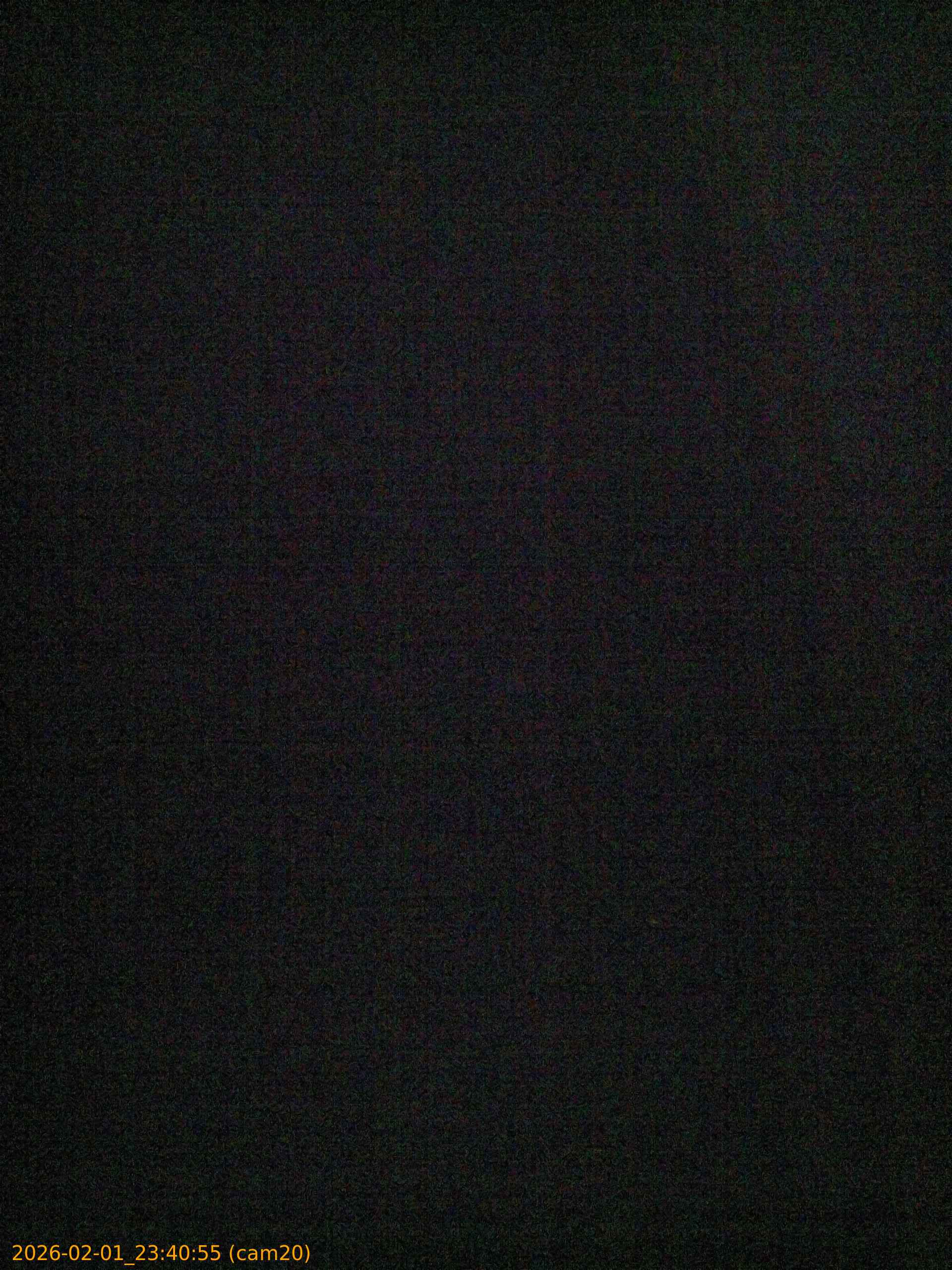 thumbnail_20260201234054