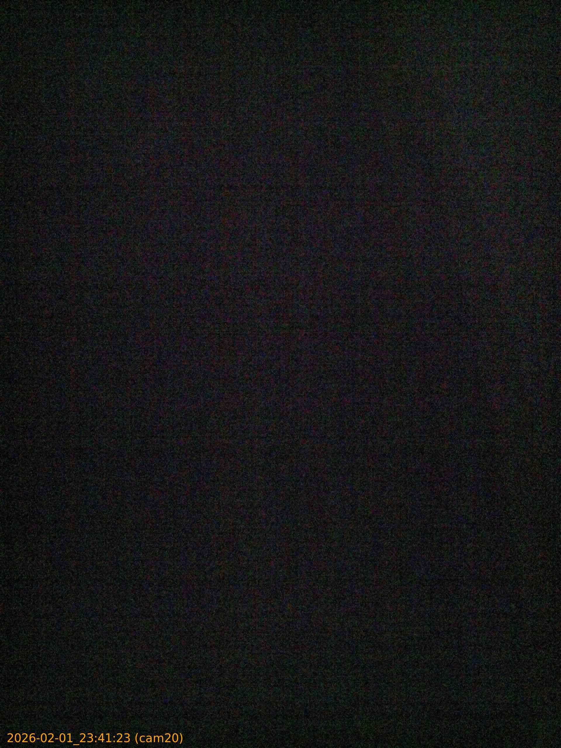 thumbnail_20260201234123