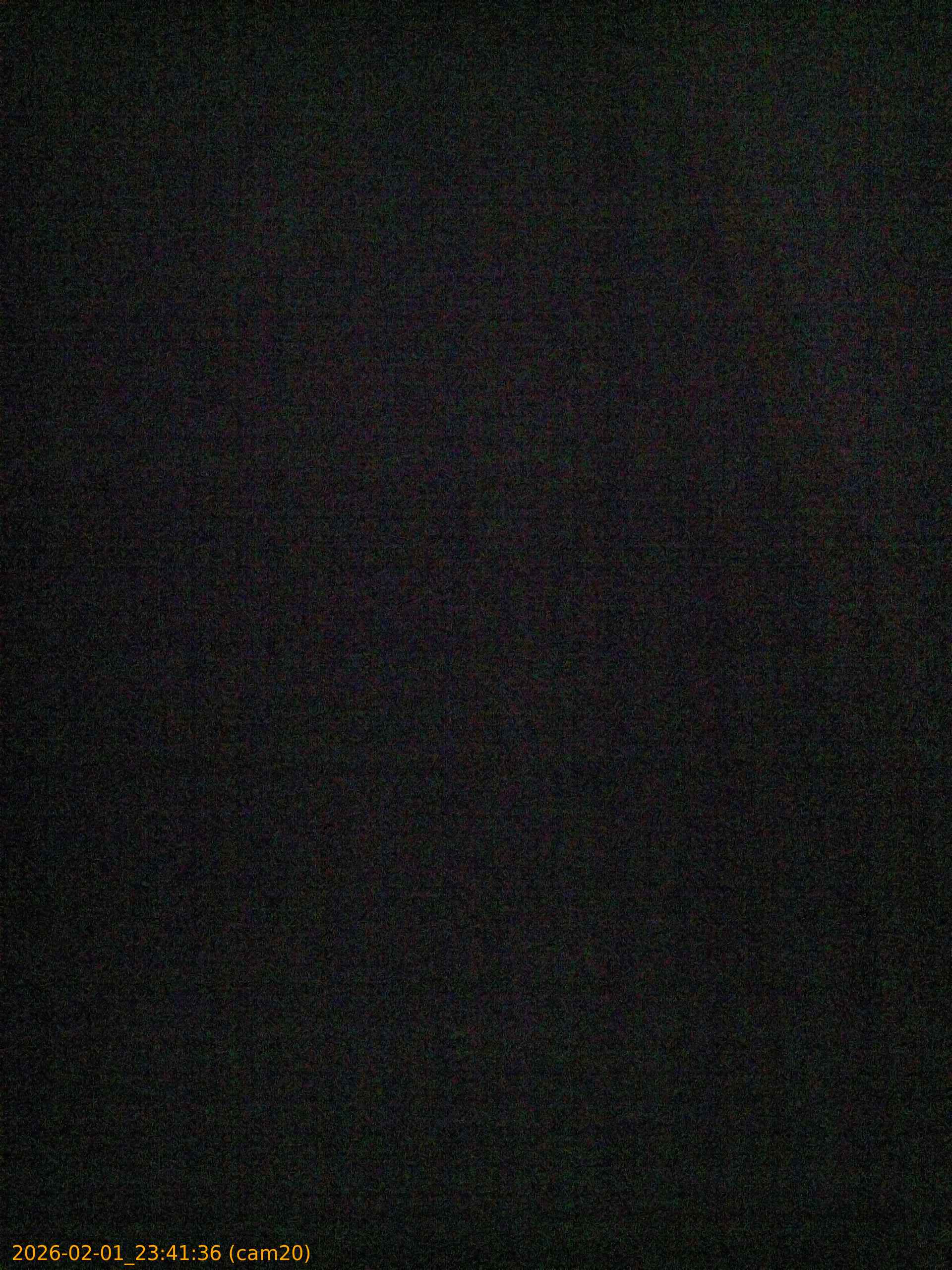 thumbnail_20260201234136