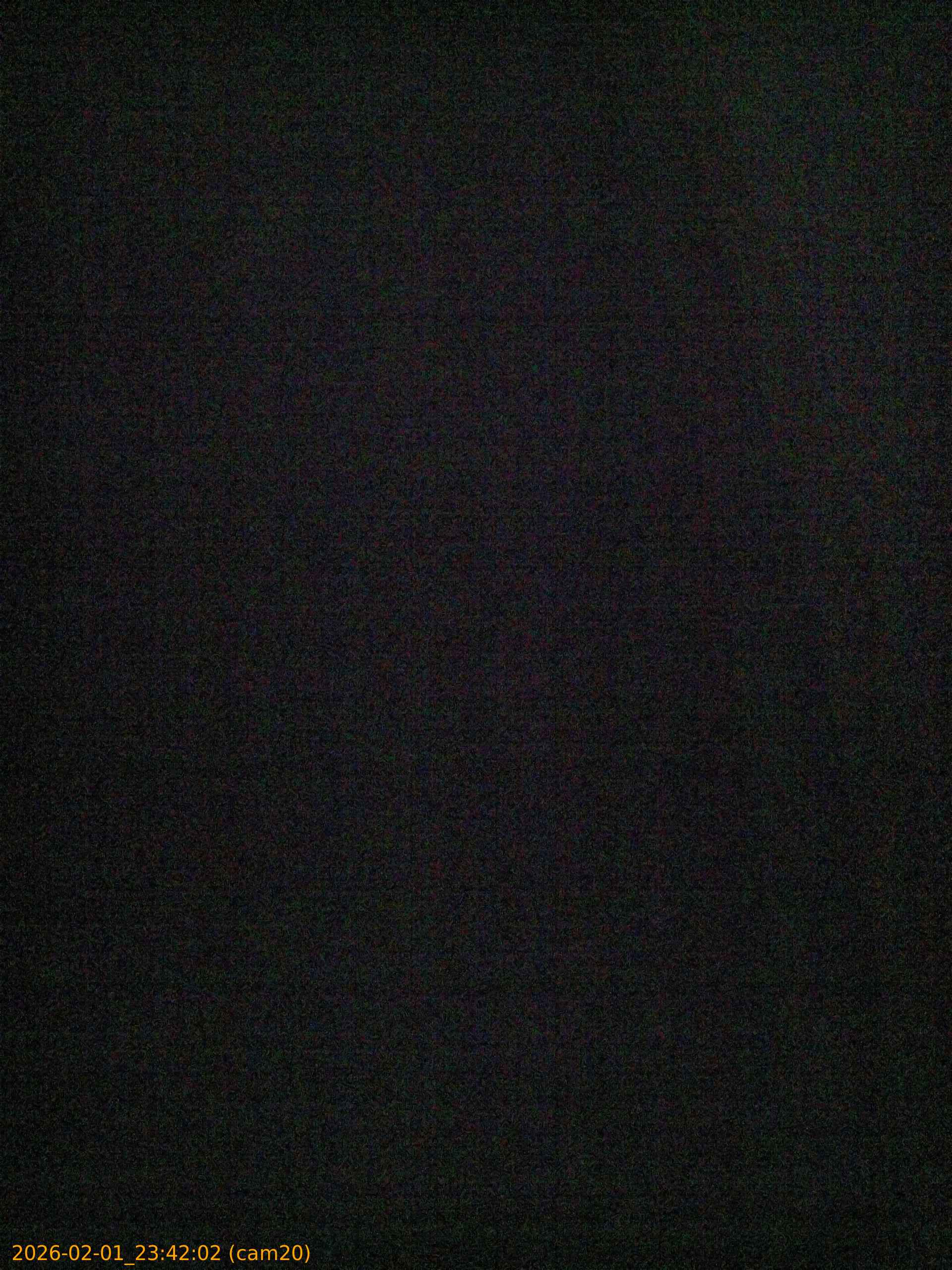 thumbnail_20260201234202