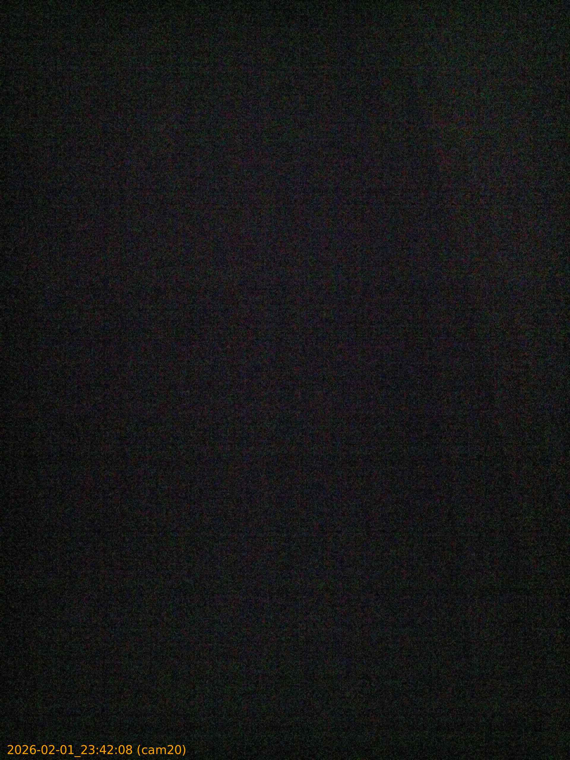 thumbnail_20260201234208