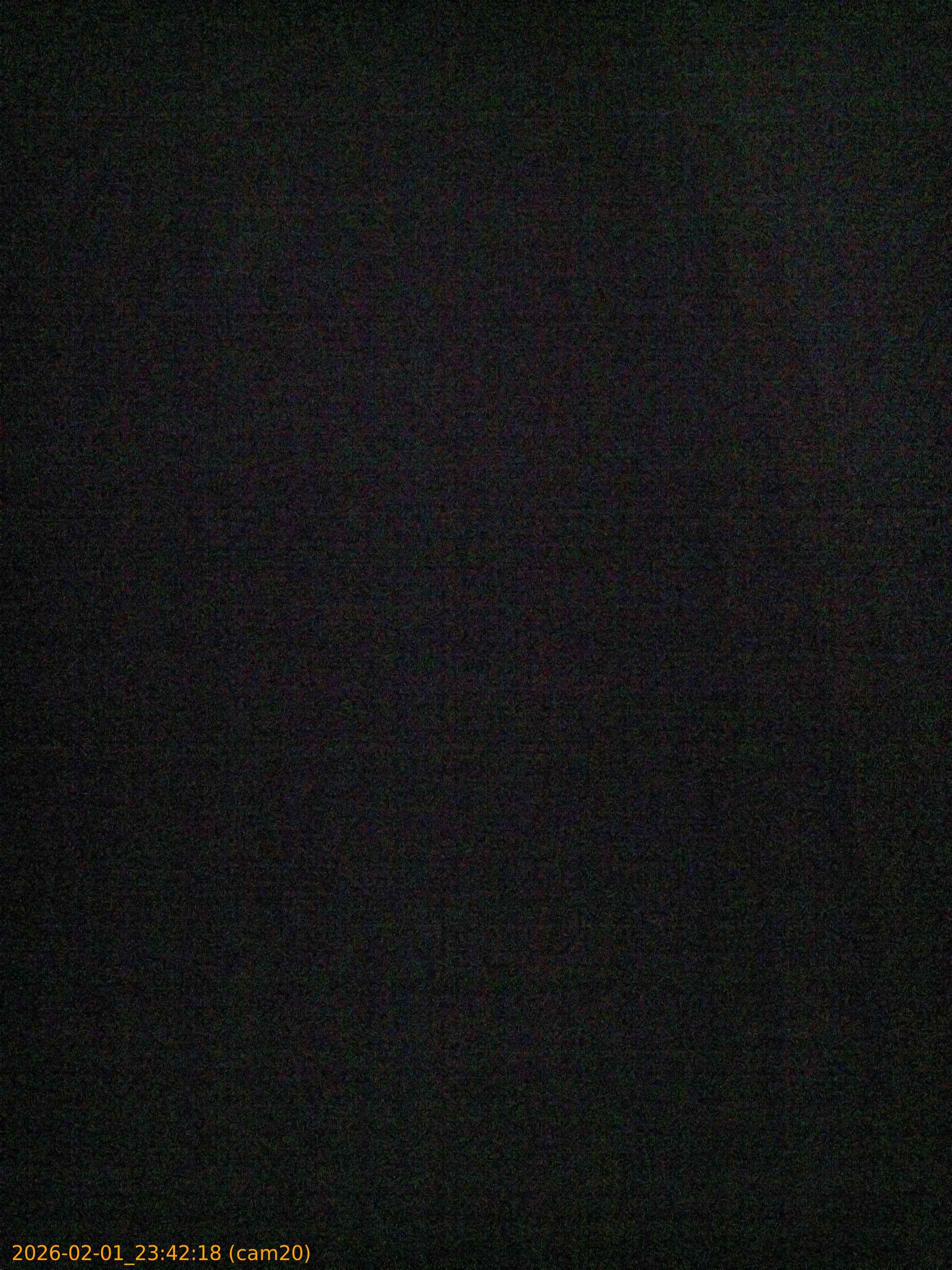 thumbnail_20260201234218