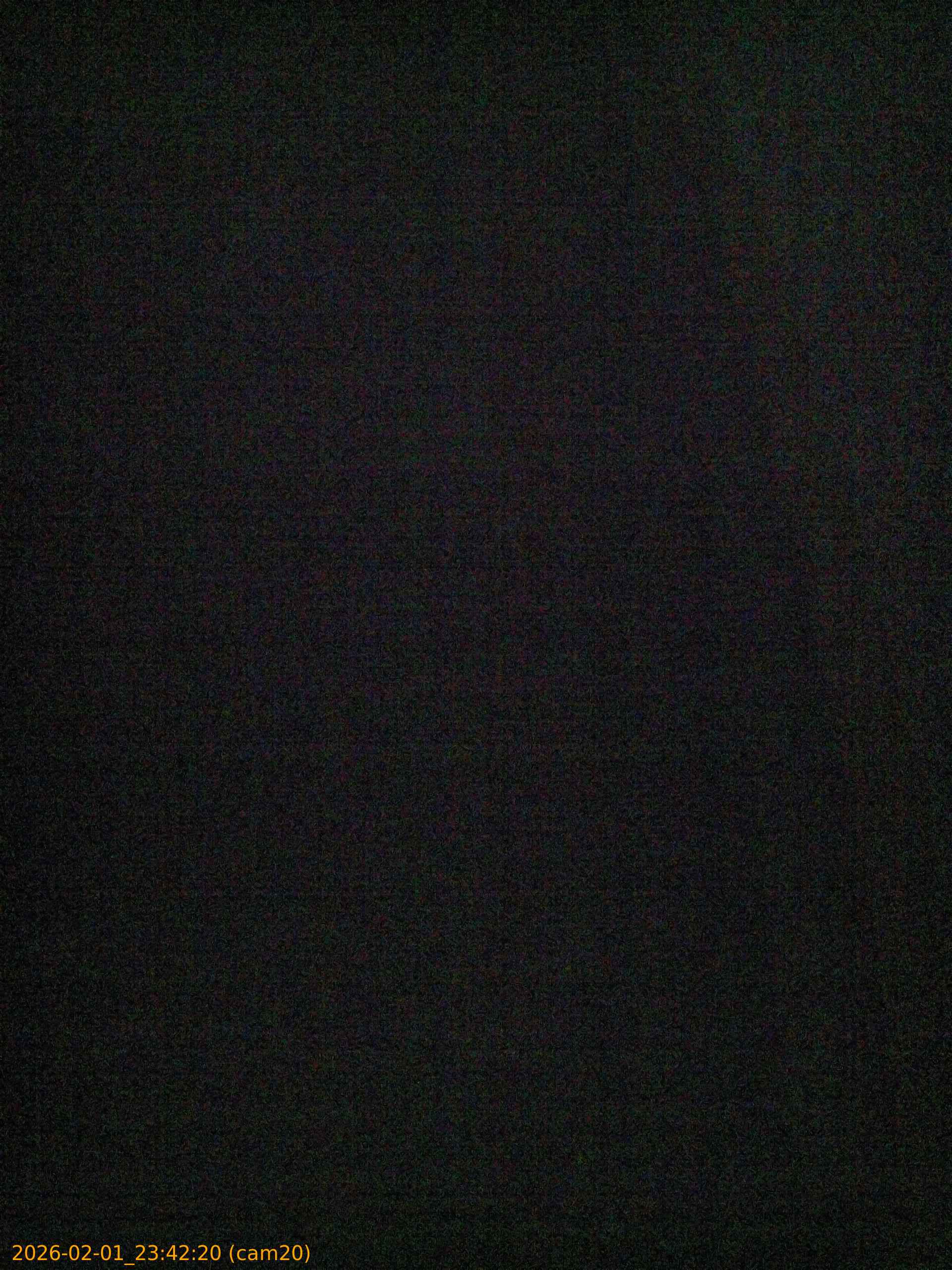 thumbnail_20260201234220