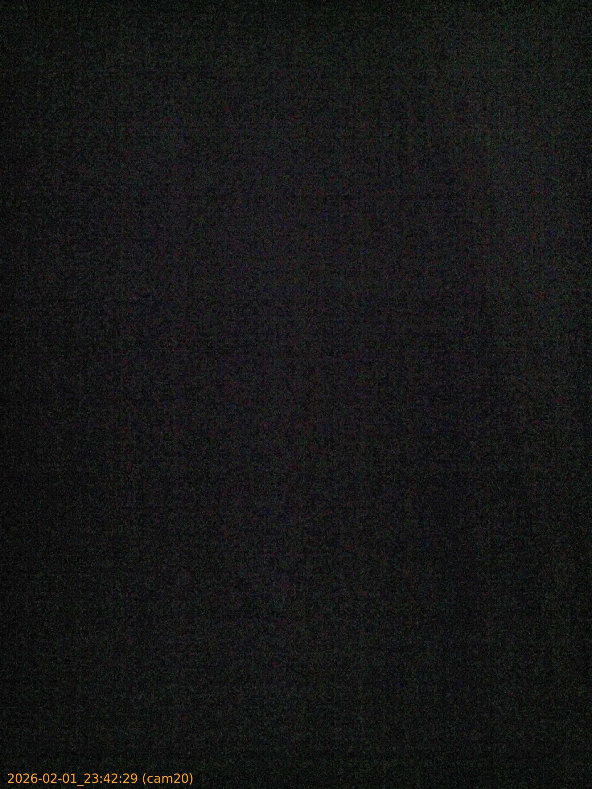 thumbnail_20260201234229