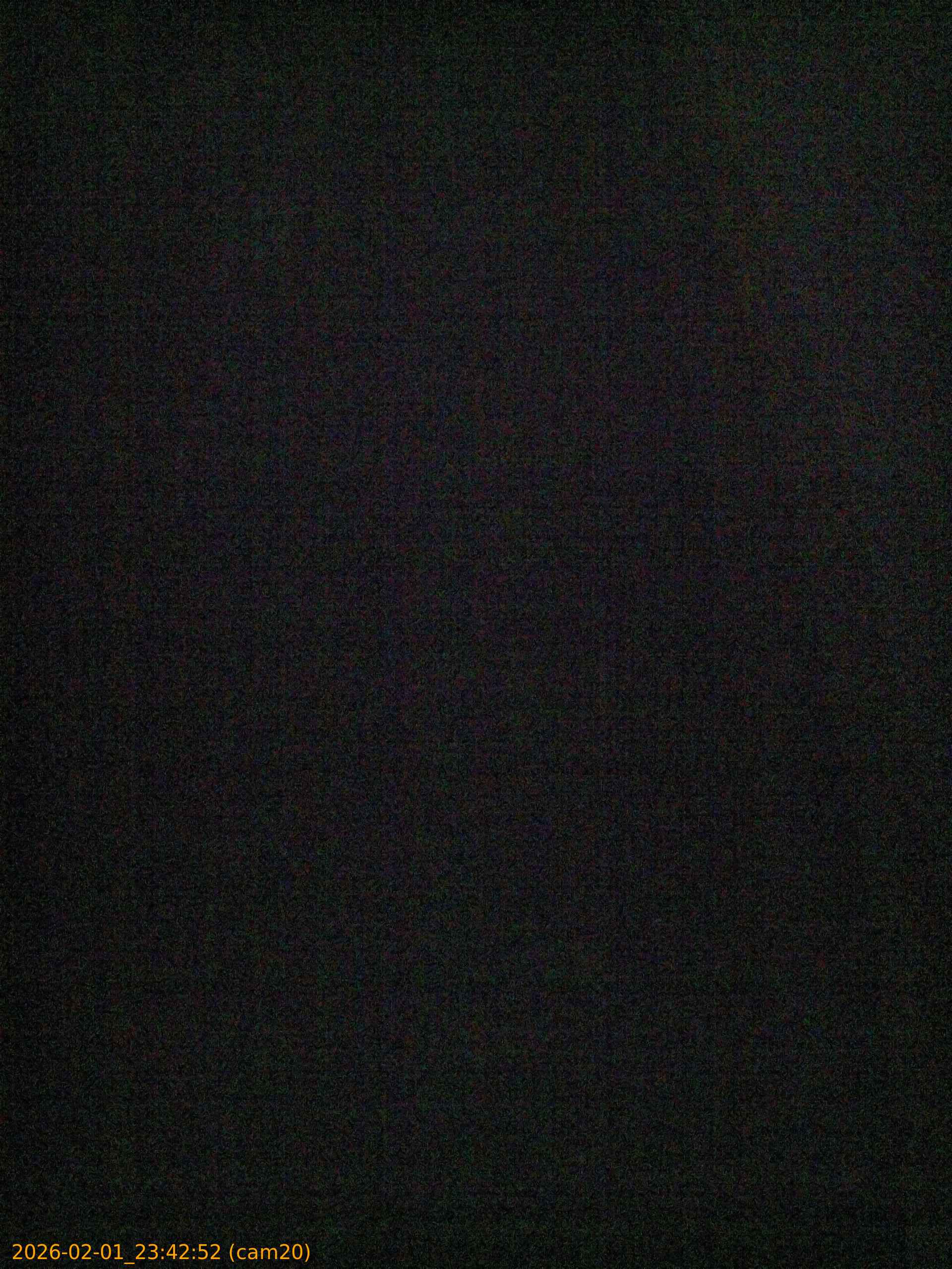 thumbnail_20260201234252