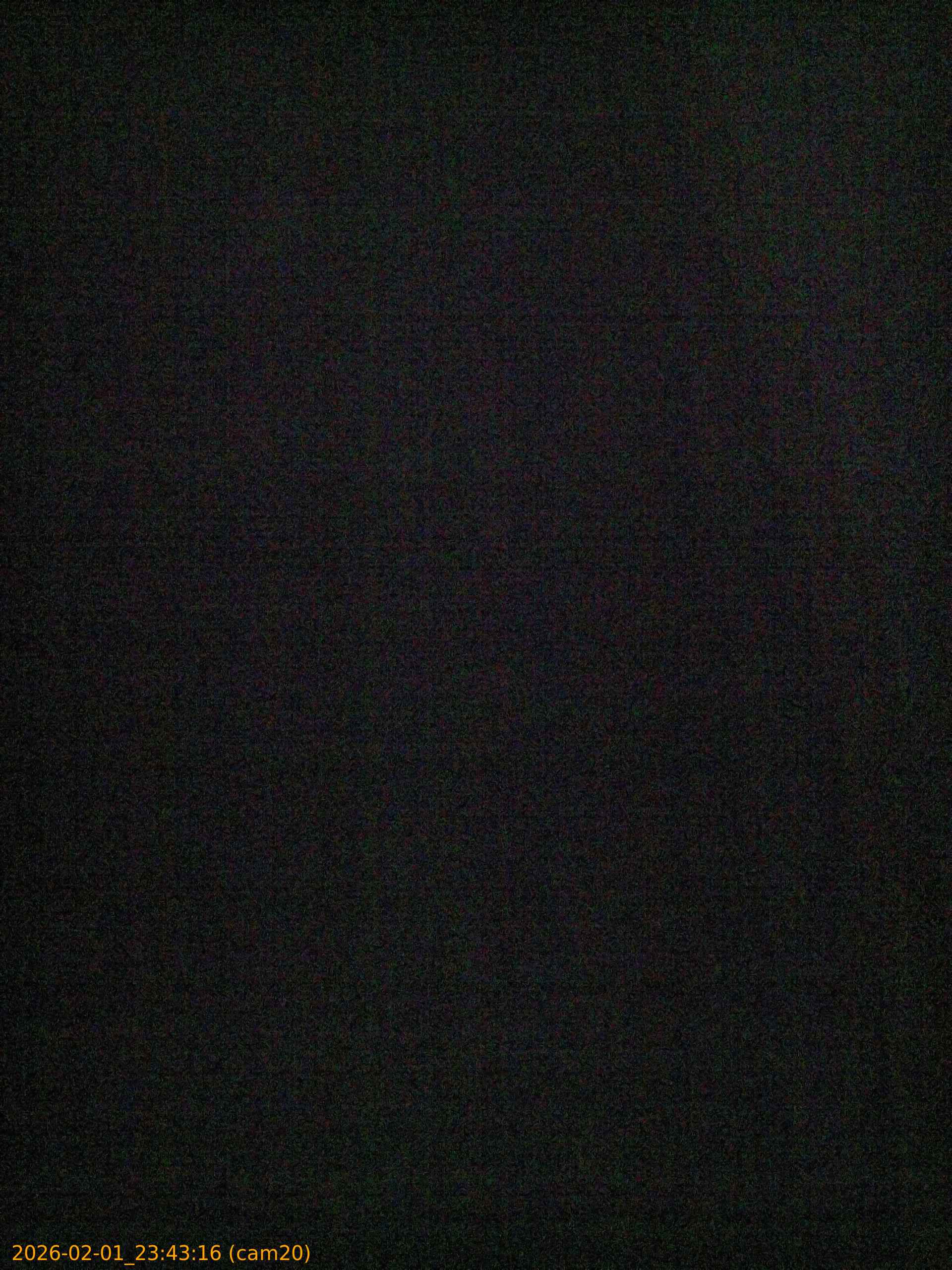 thumbnail_20260201234316