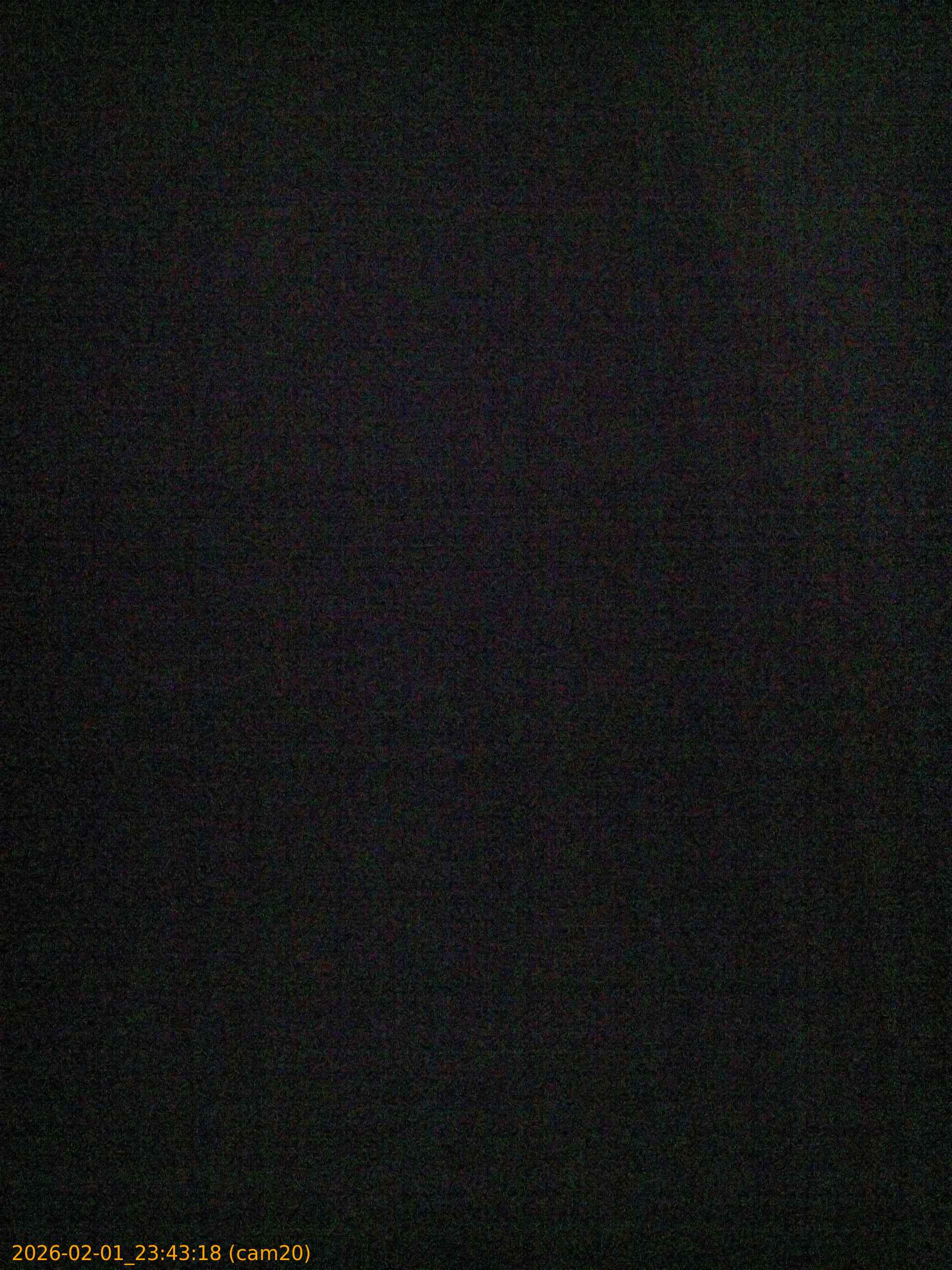 thumbnail_20260201234318