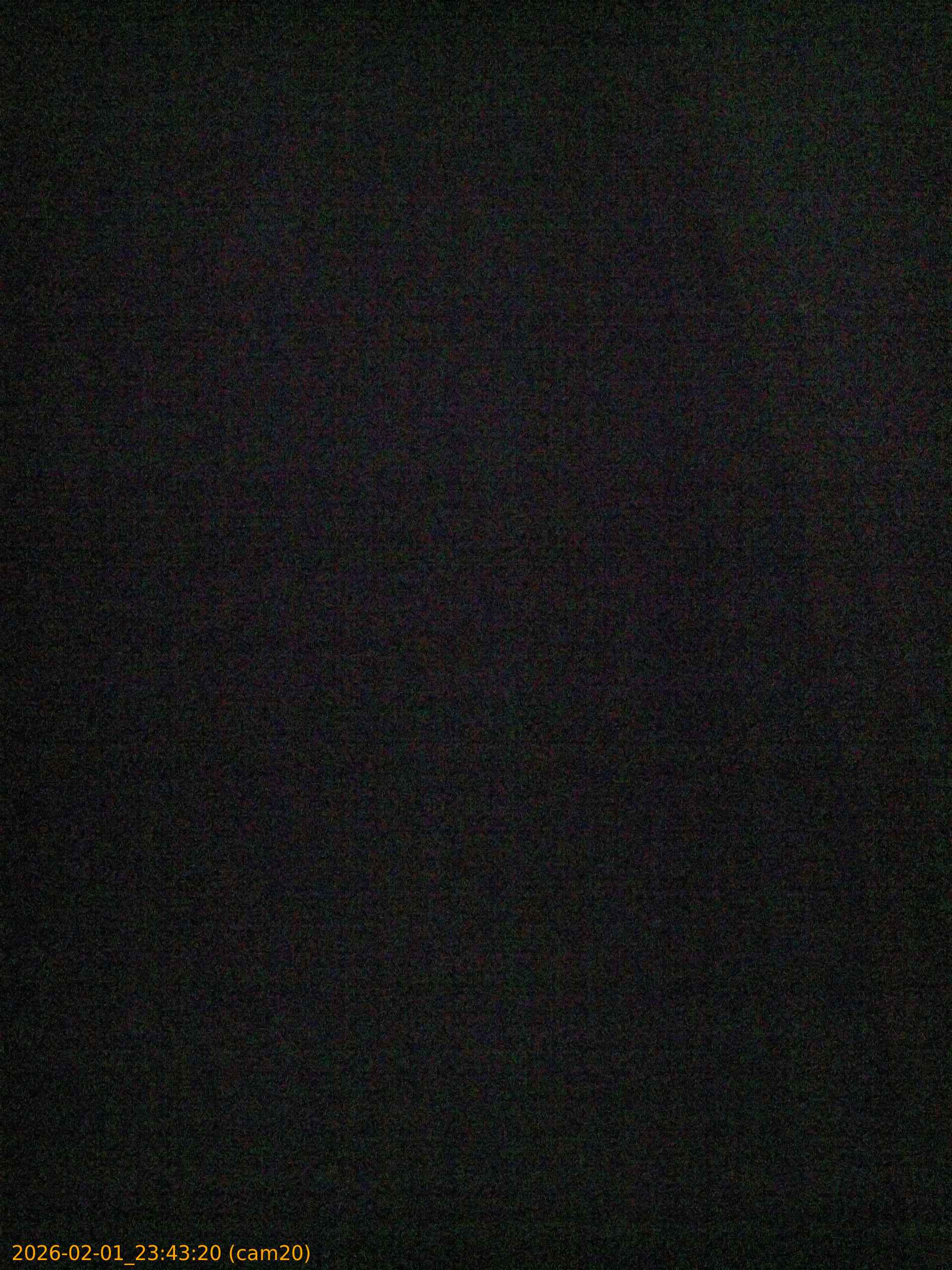 thumbnail_20260201234320