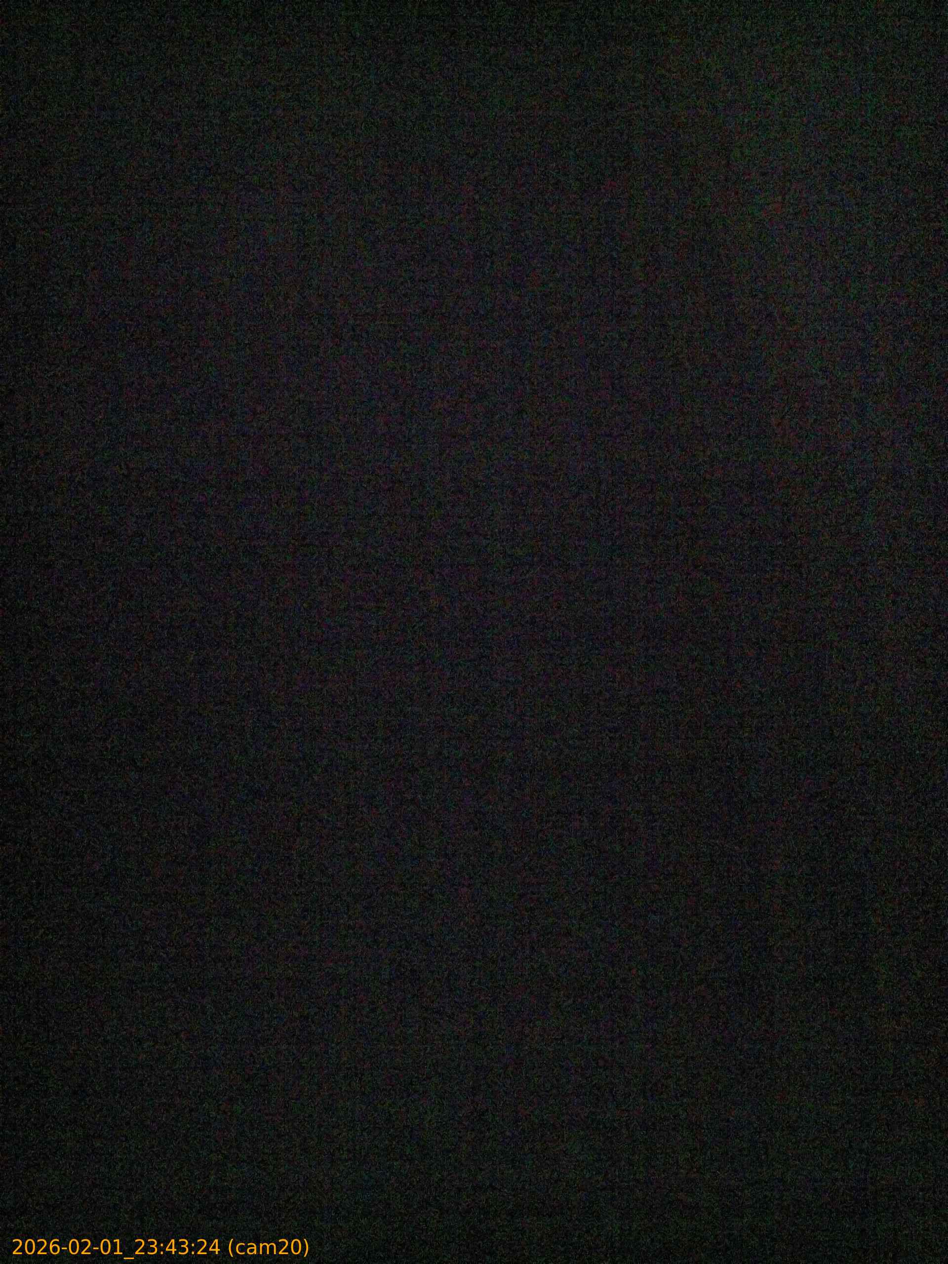 thumbnail_20260201234324