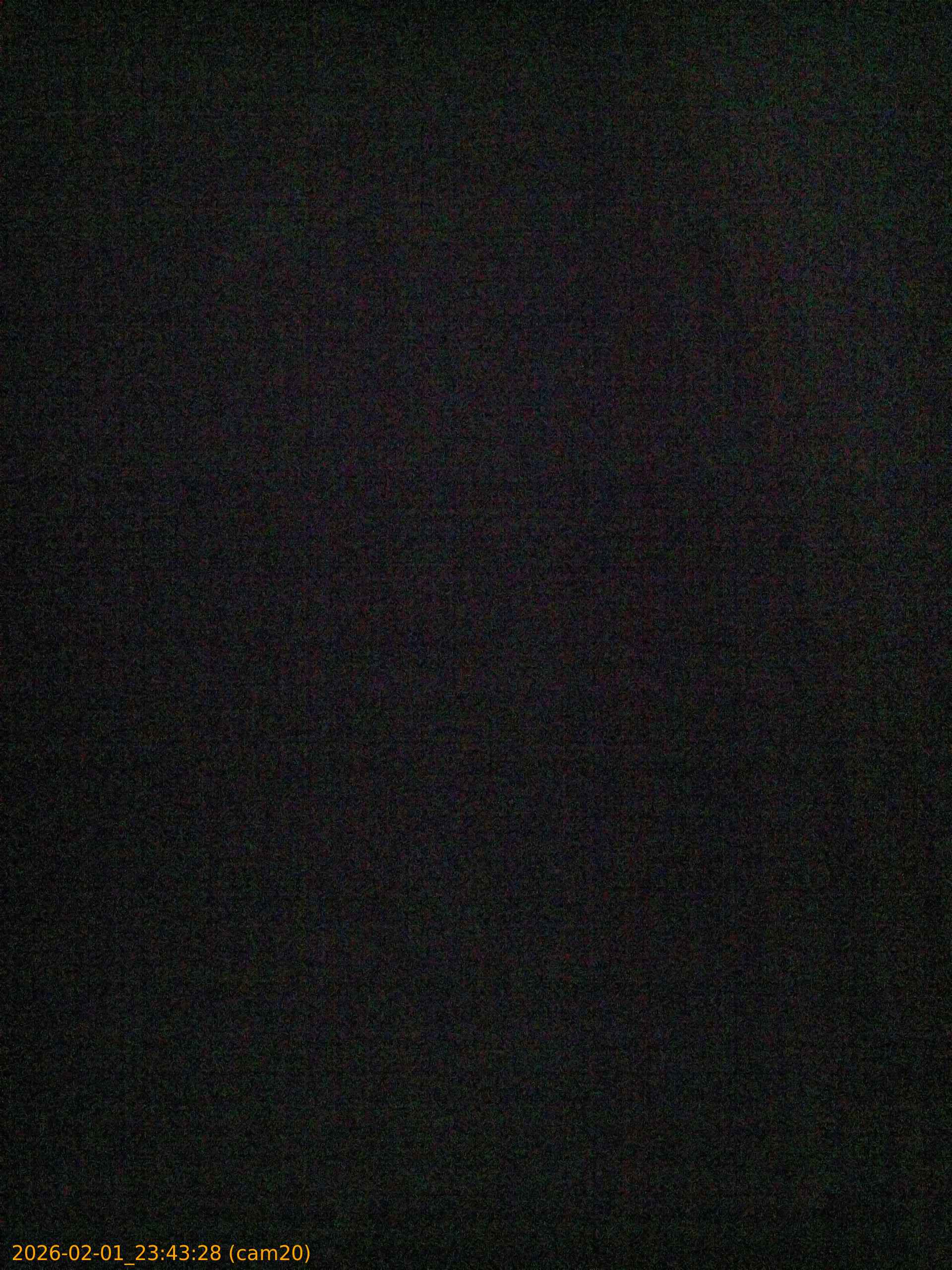 thumbnail_20260201234328