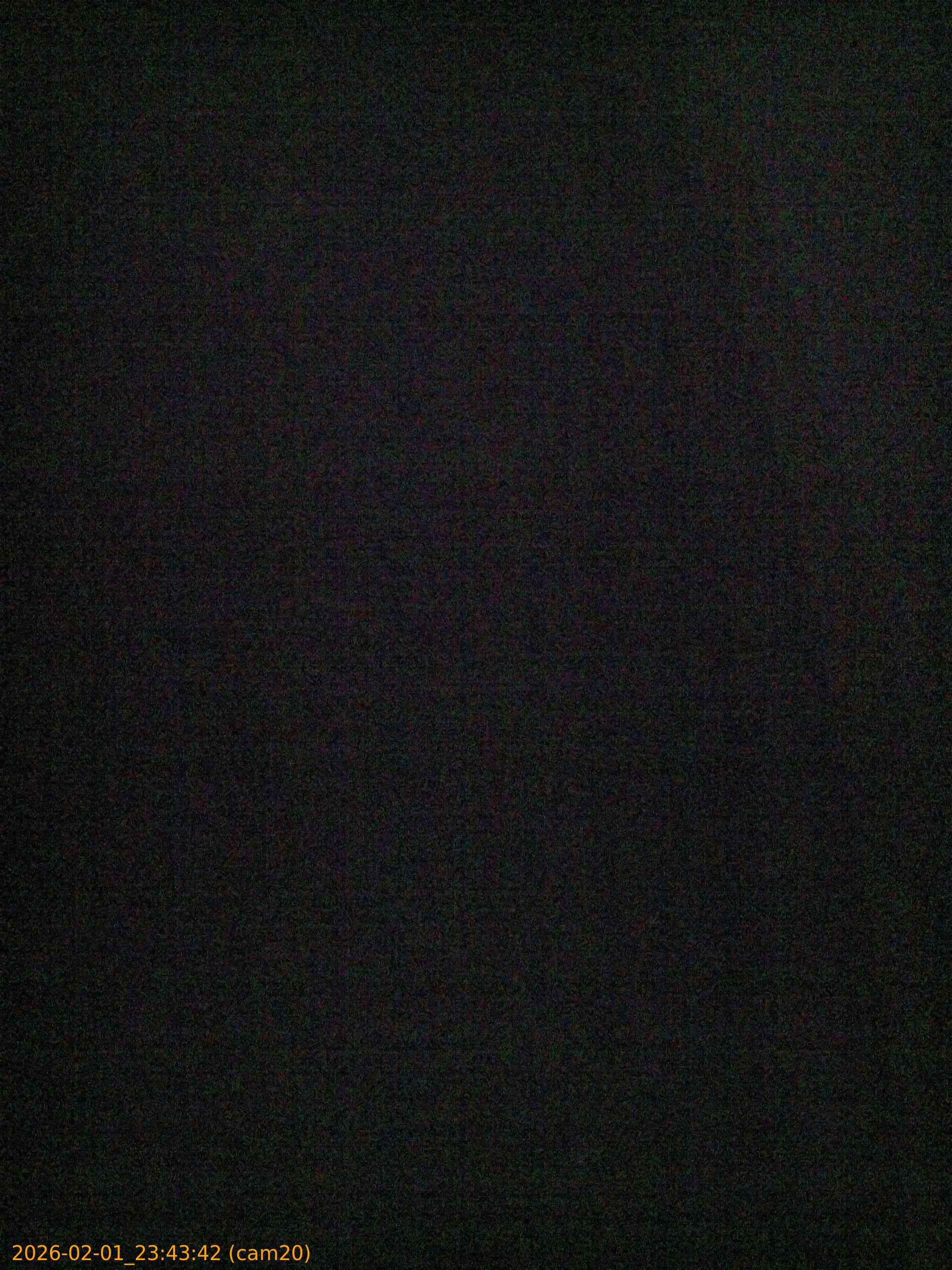 thumbnail_20260201234342