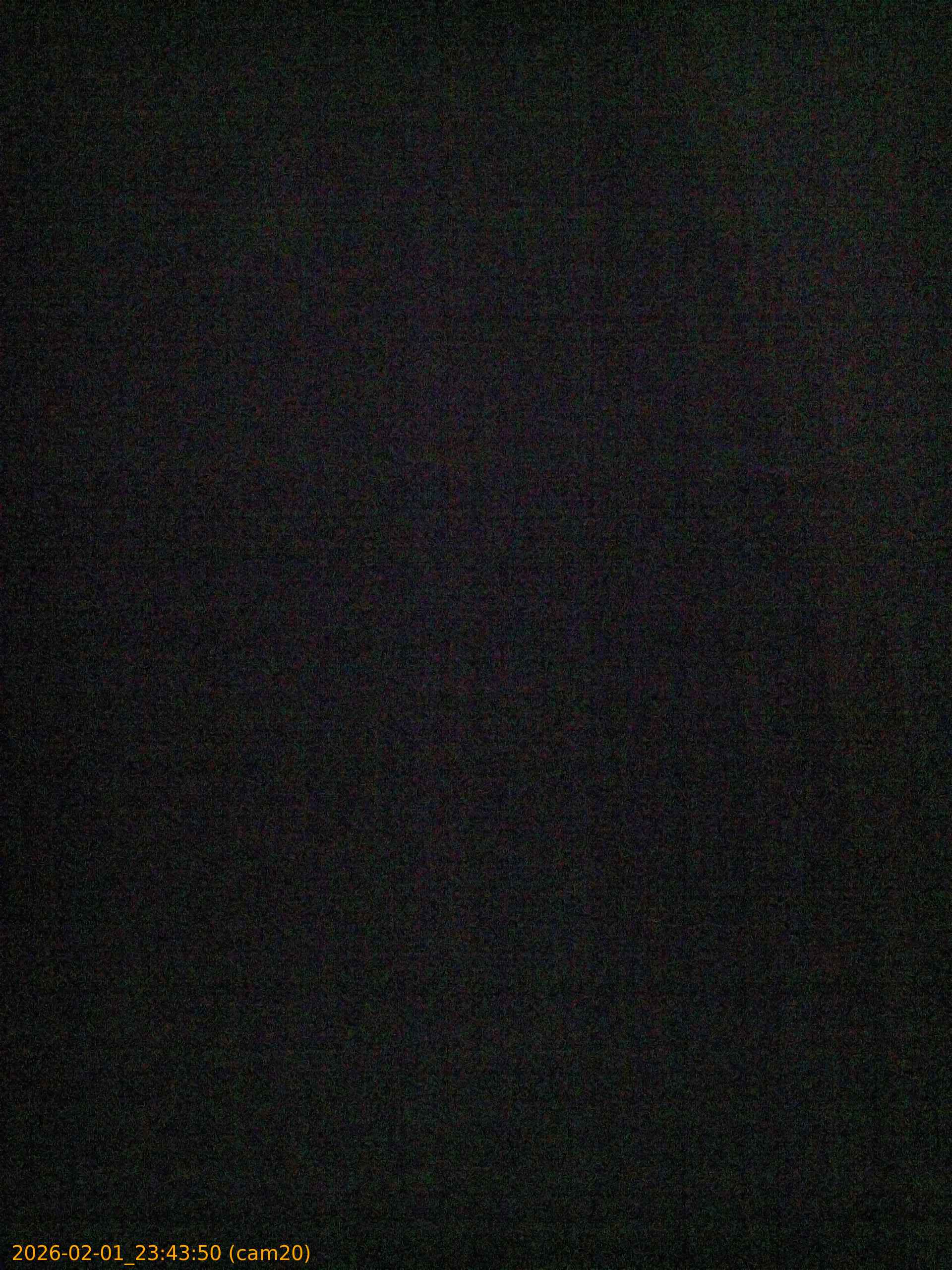 thumbnail_20260201234350