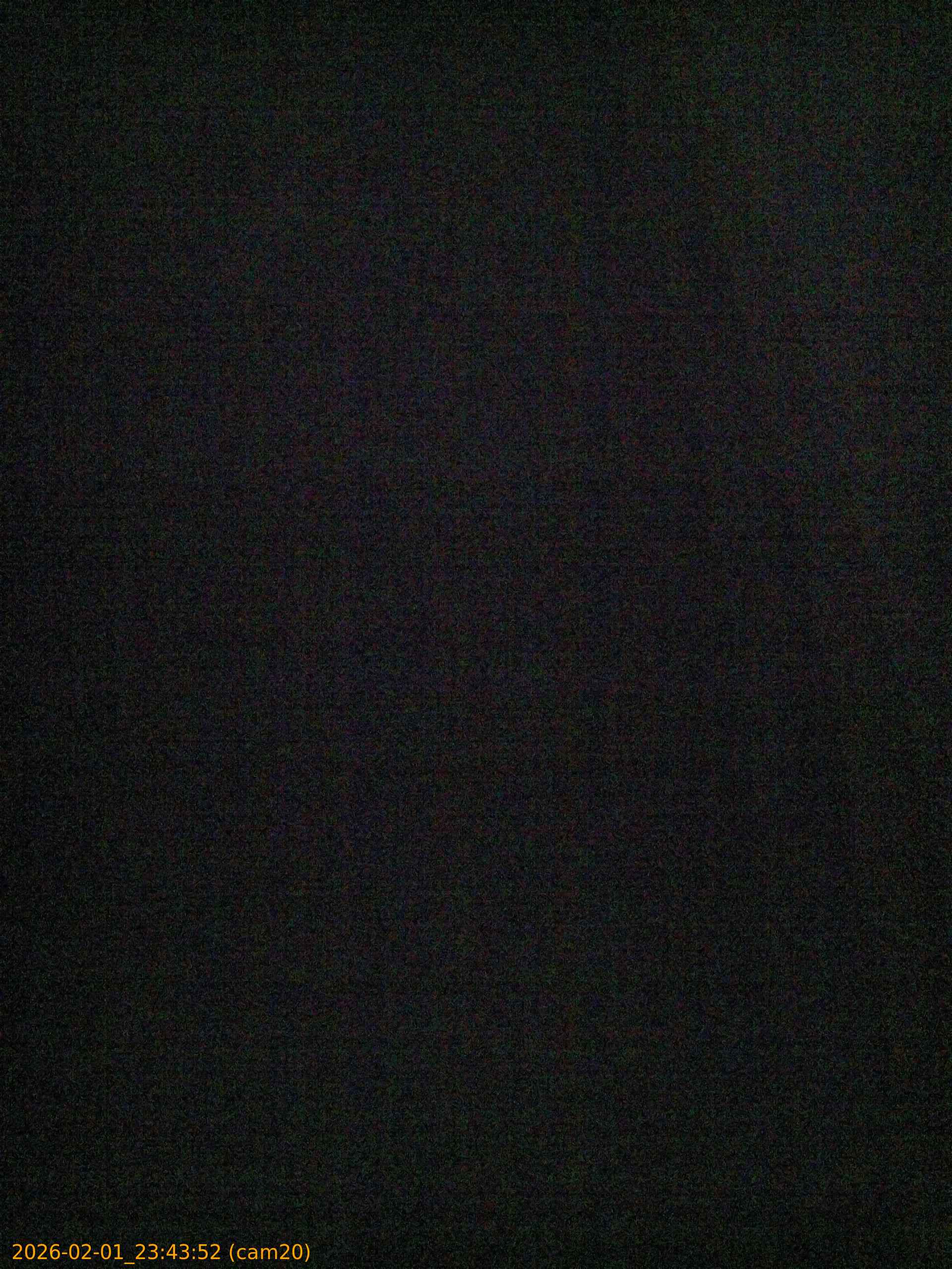 thumbnail_20260201234352