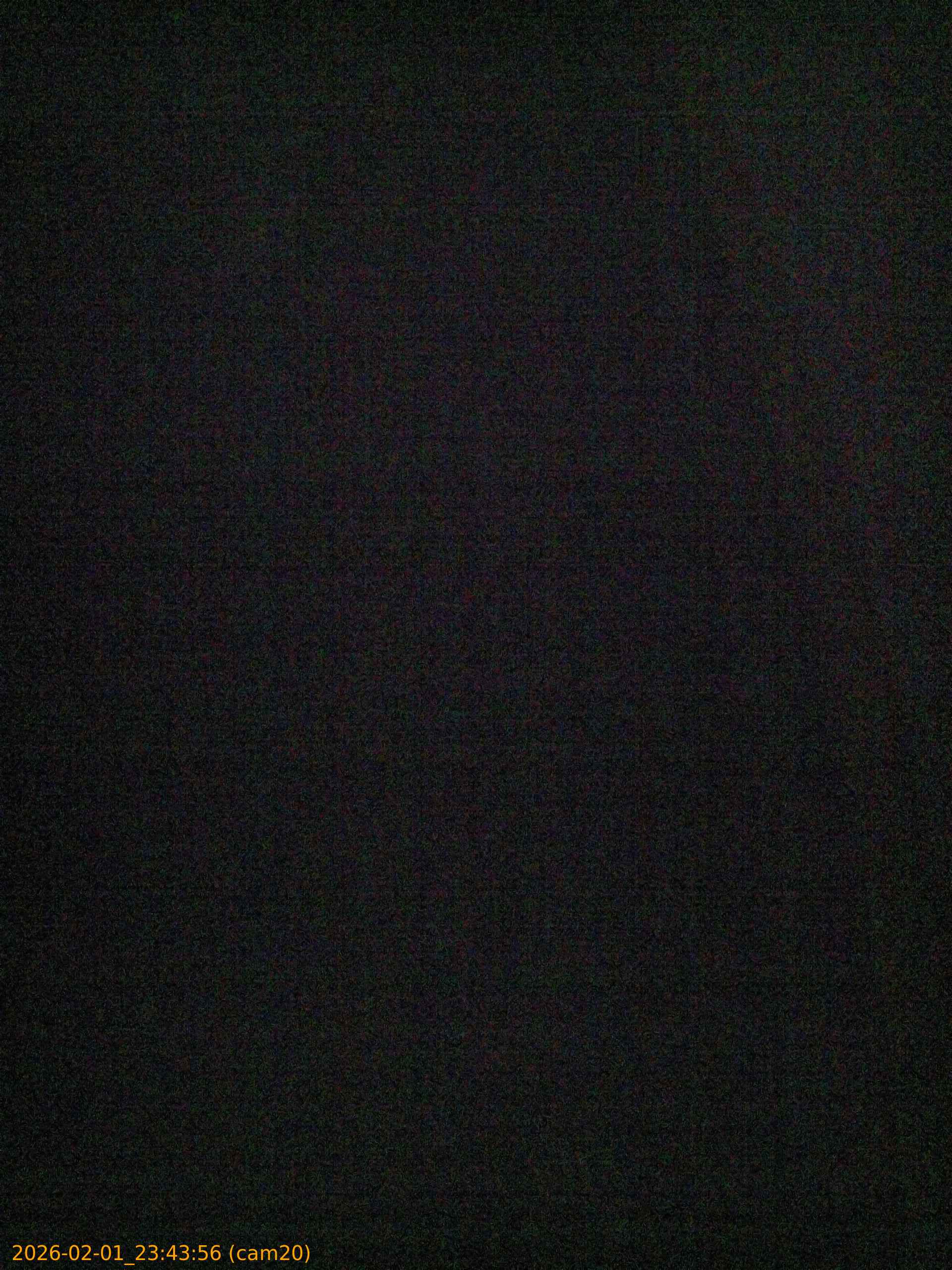 thumbnail_20260201234356