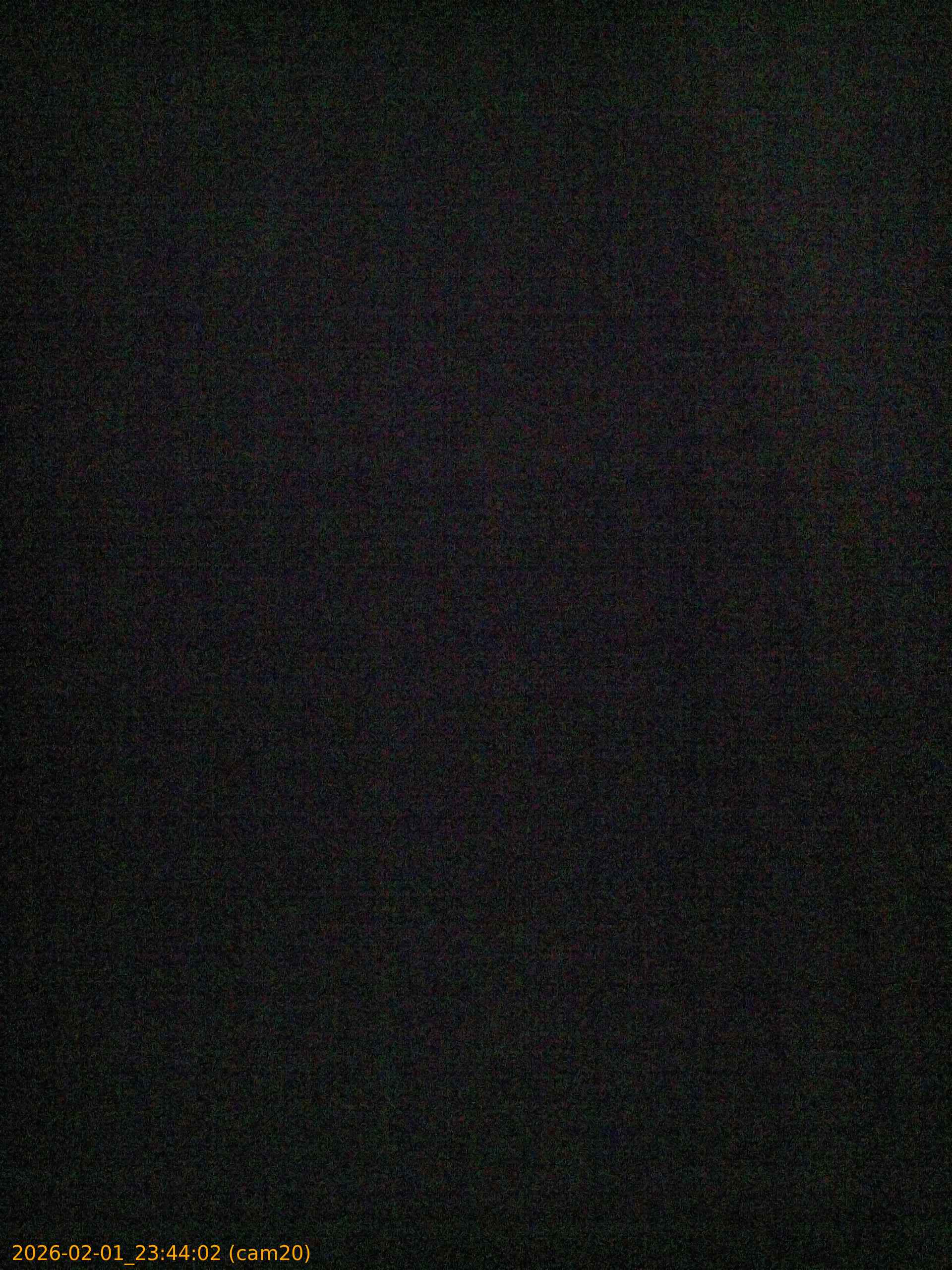 thumbnail_20260201234402