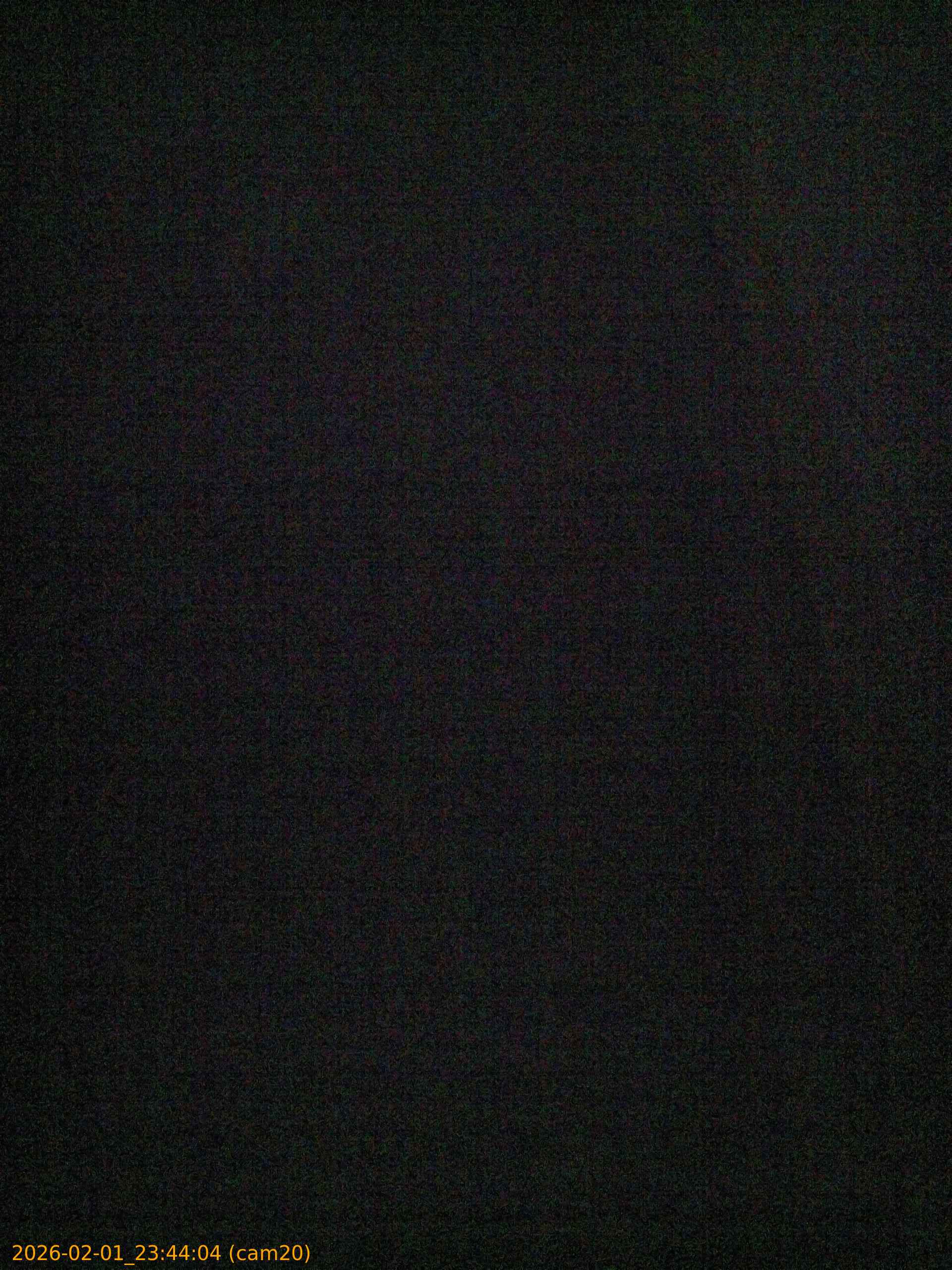 thumbnail_20260201234404