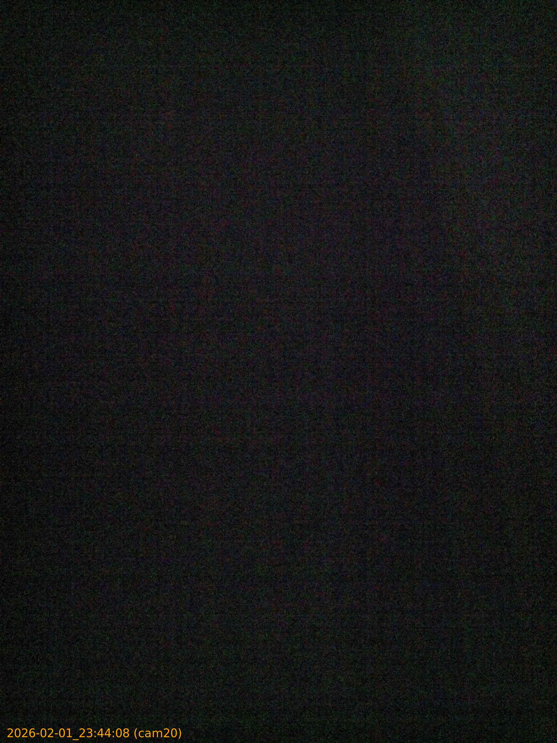 thumbnail_20260201234408