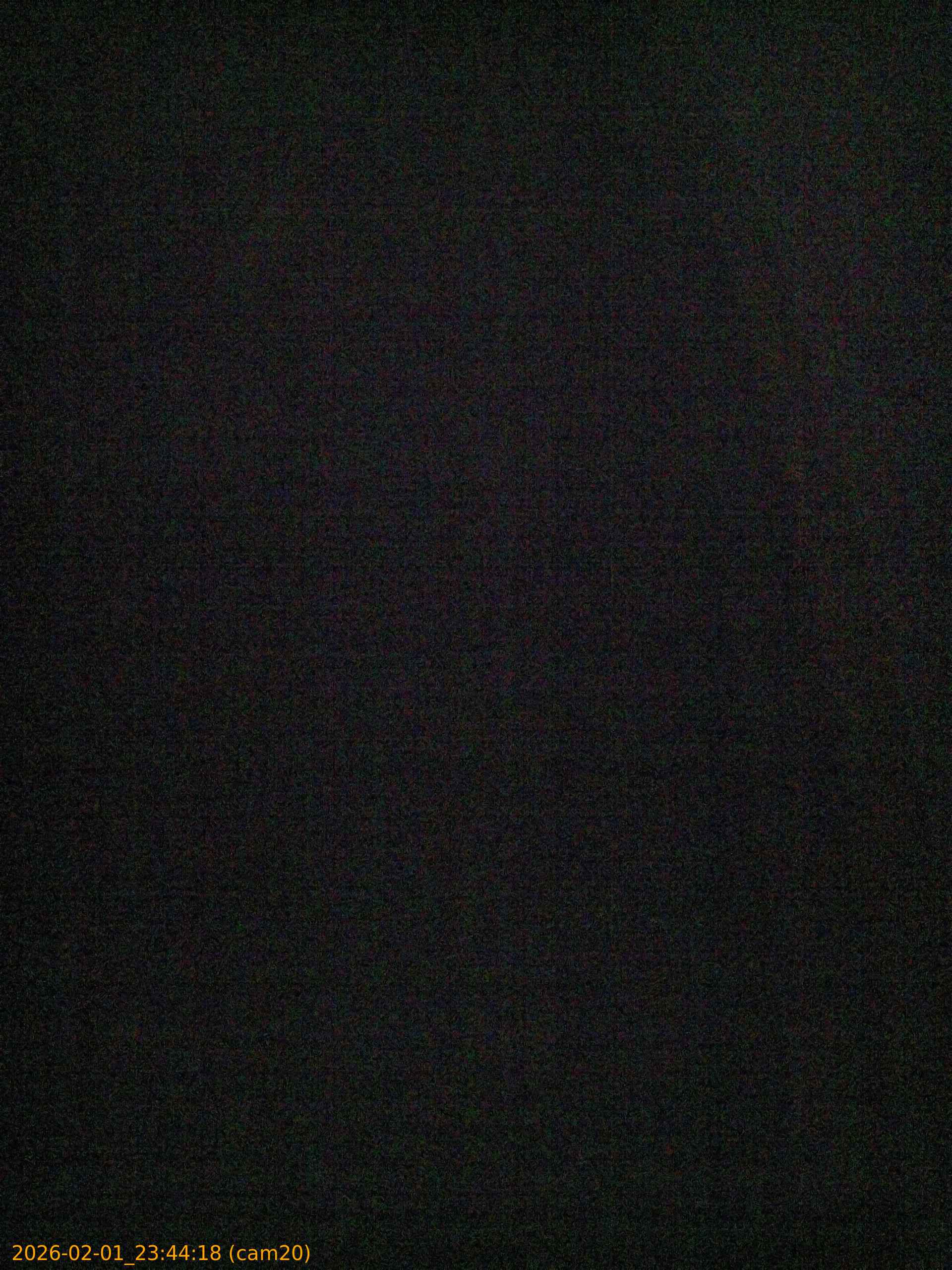 thumbnail_20260201234418