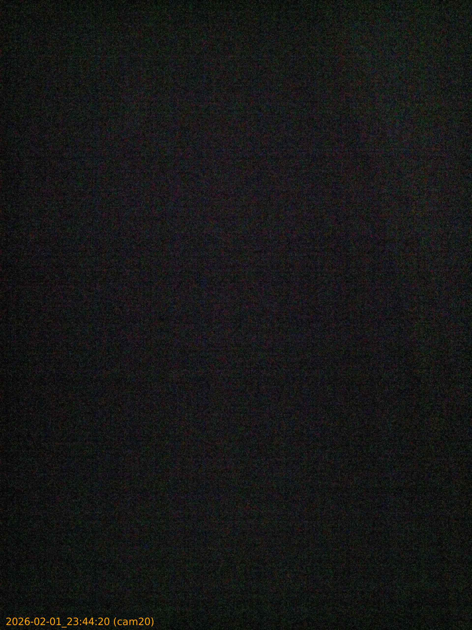 thumbnail_20260201234420