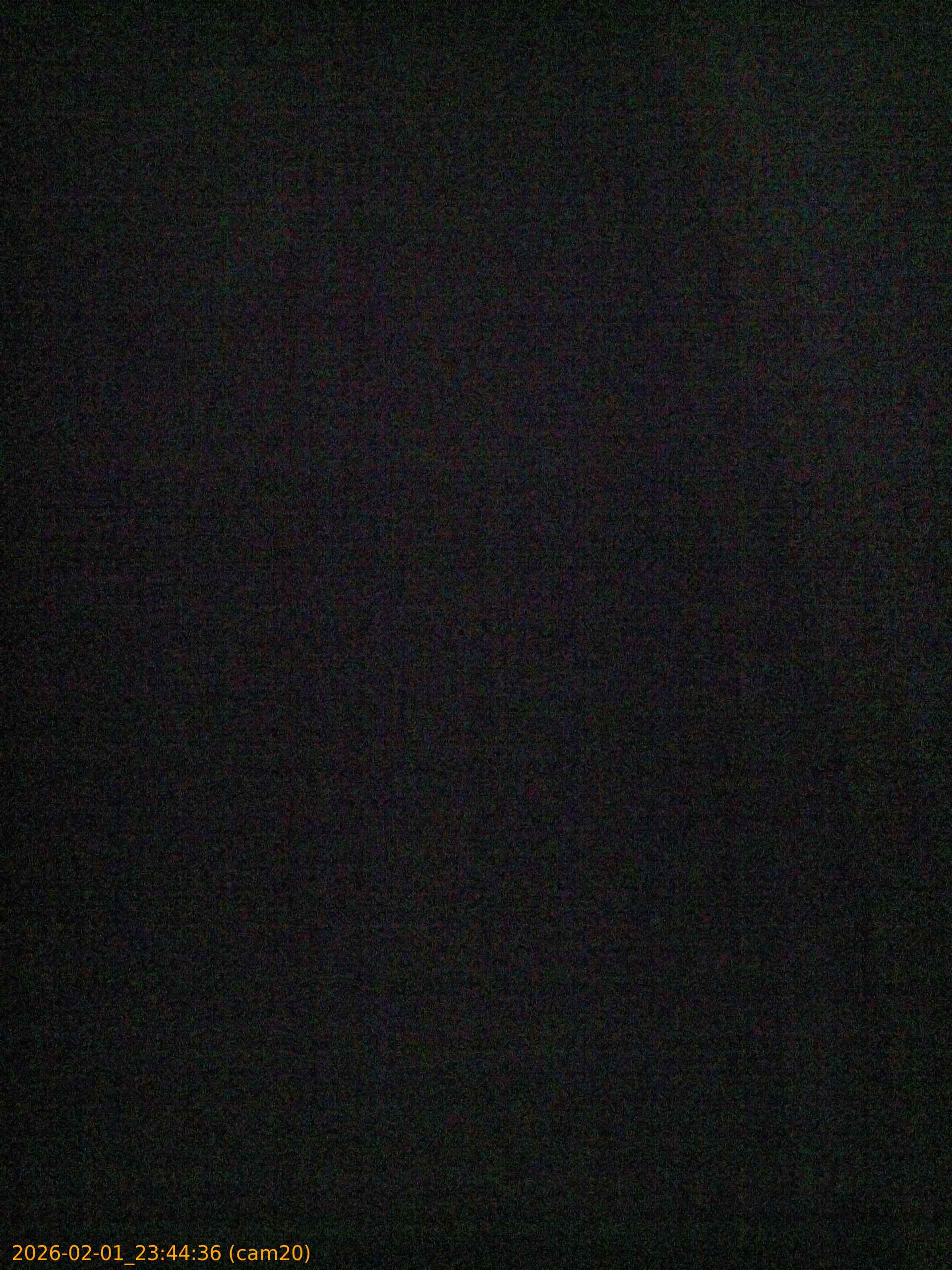 thumbnail_20260201234436