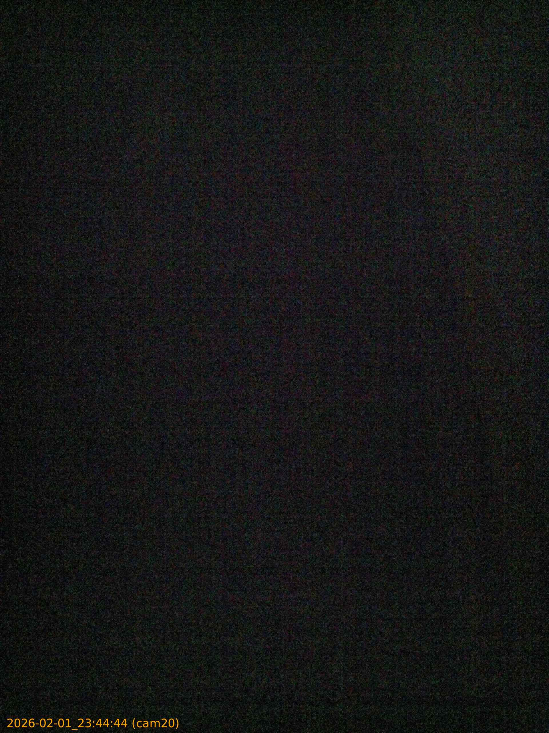 thumbnail_20260201234444