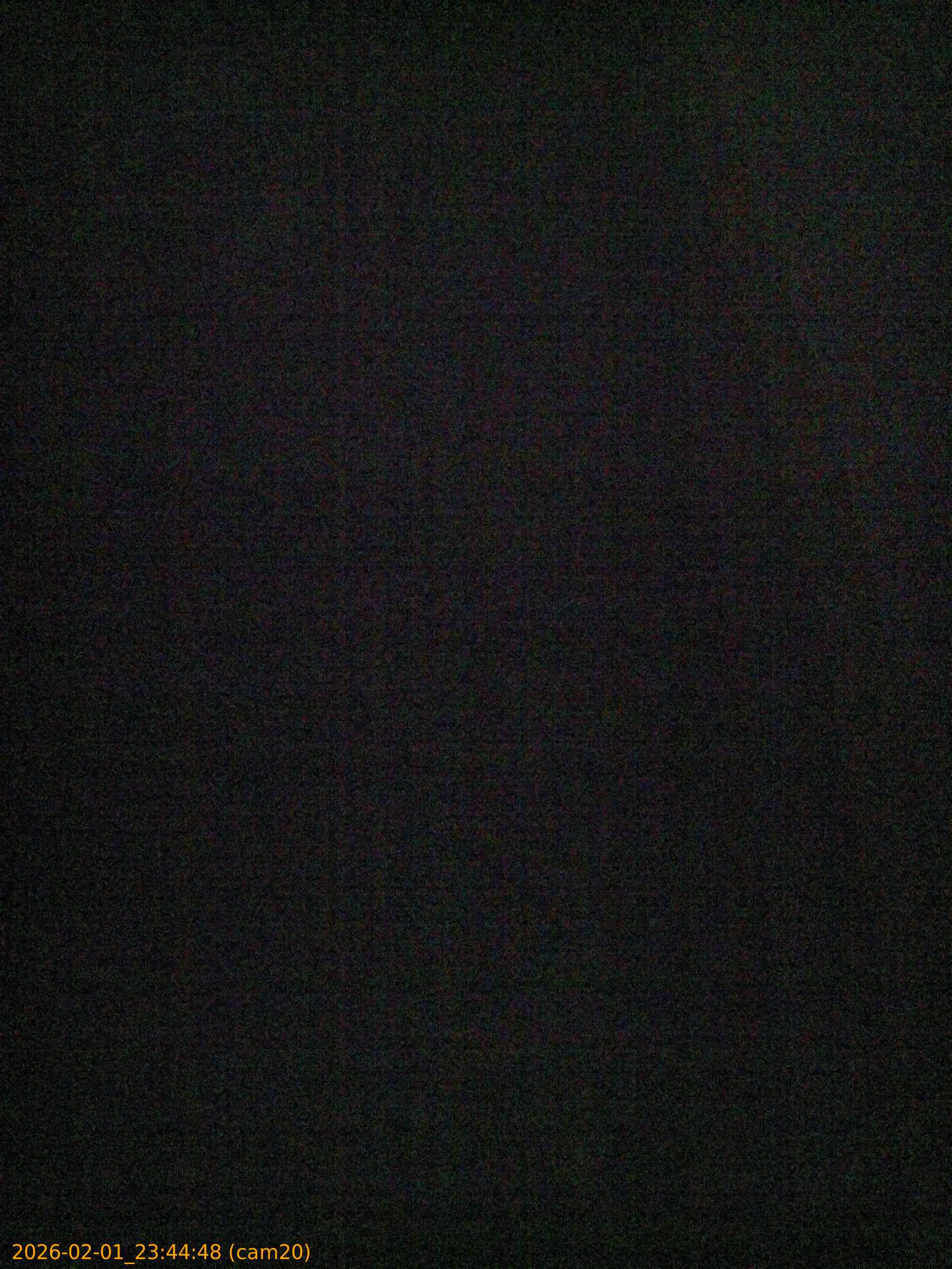 thumbnail_20260201234448