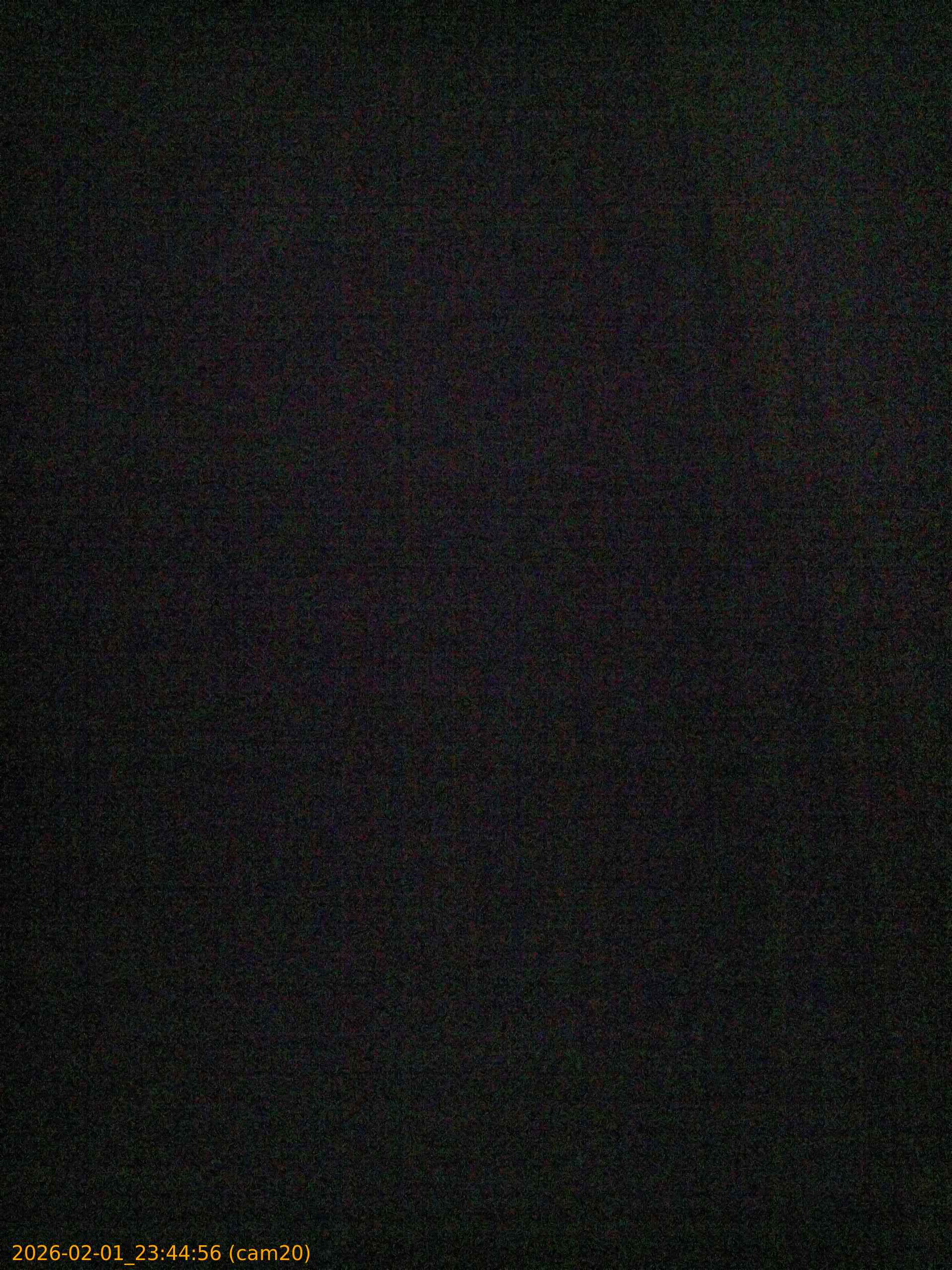 thumbnail_20260201234456