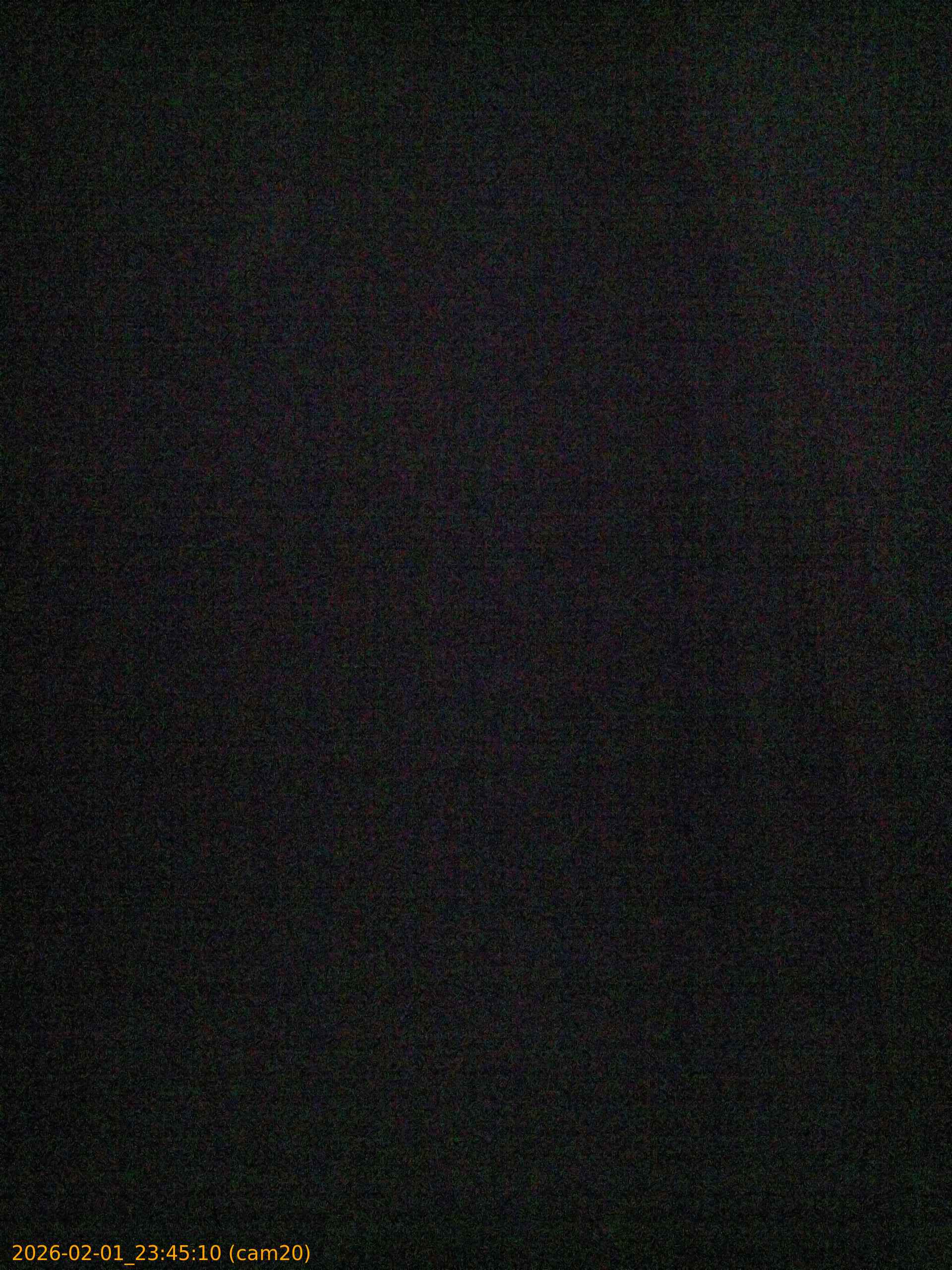 thumbnail_20260201234510