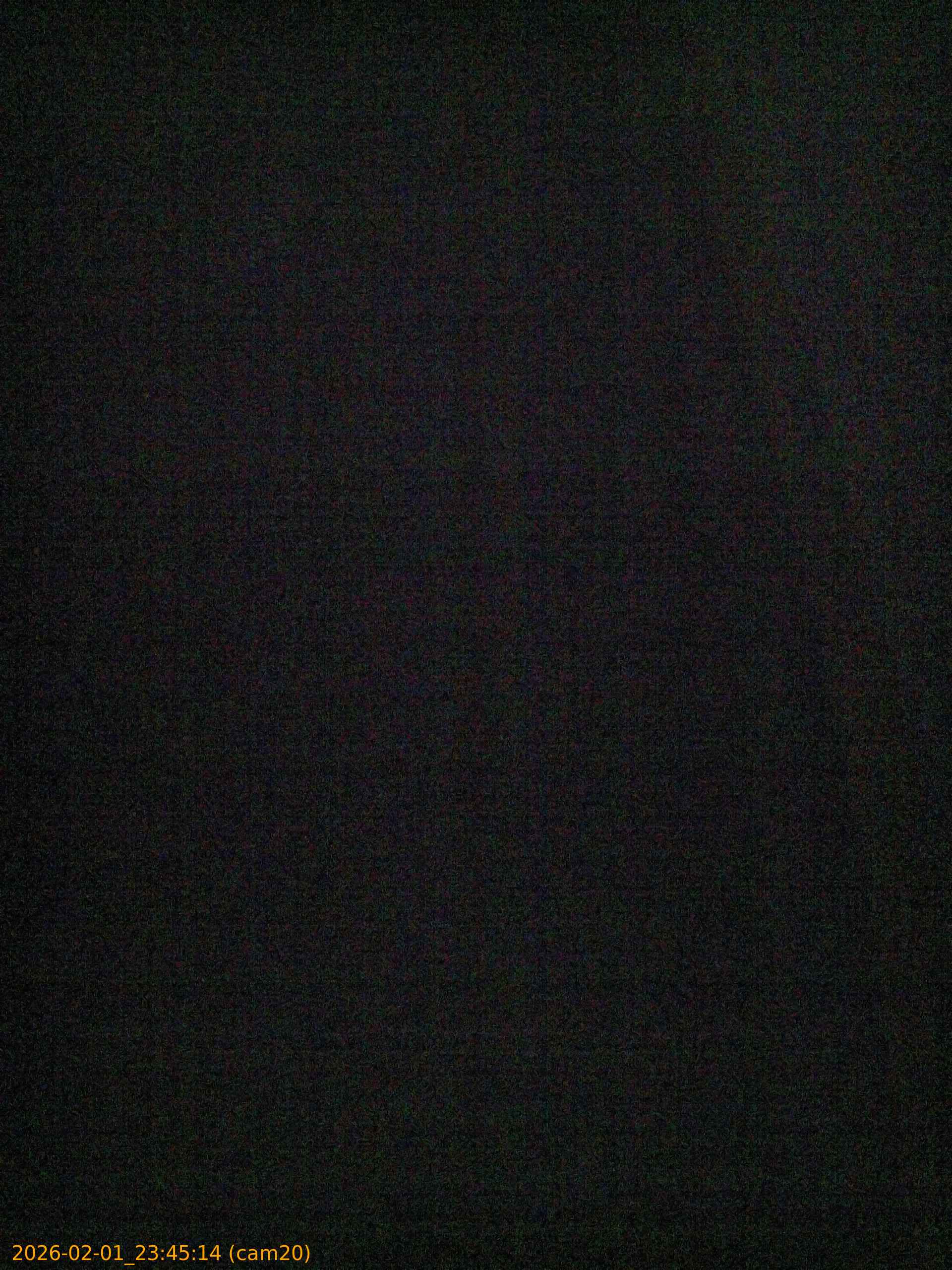 thumbnail_20260201234514