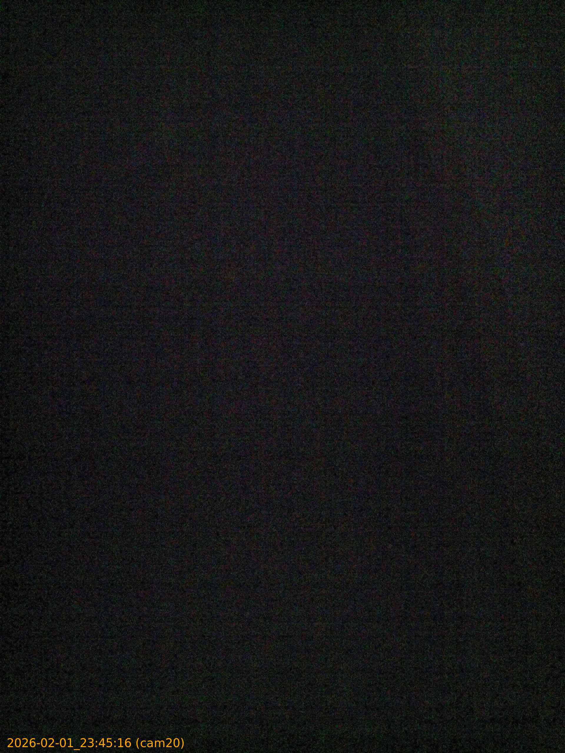 thumbnail_20260201234516