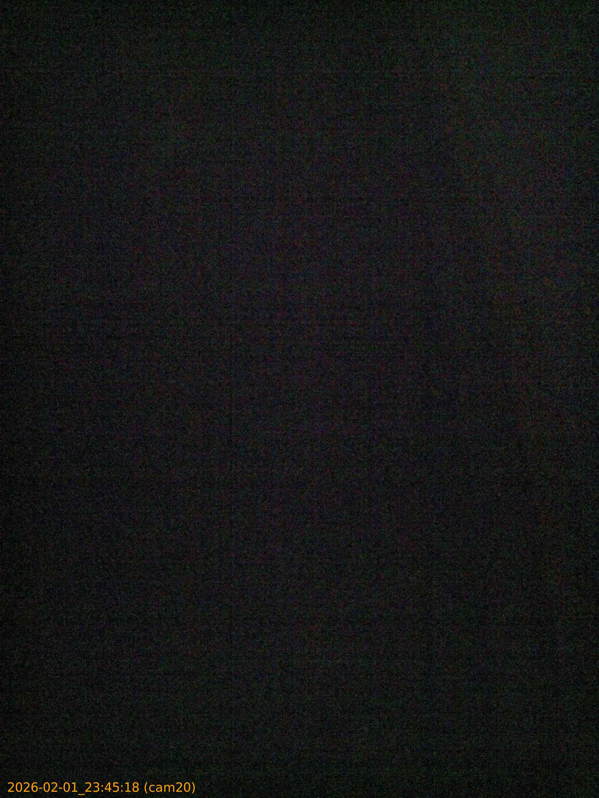 thumbnail_20260201234518