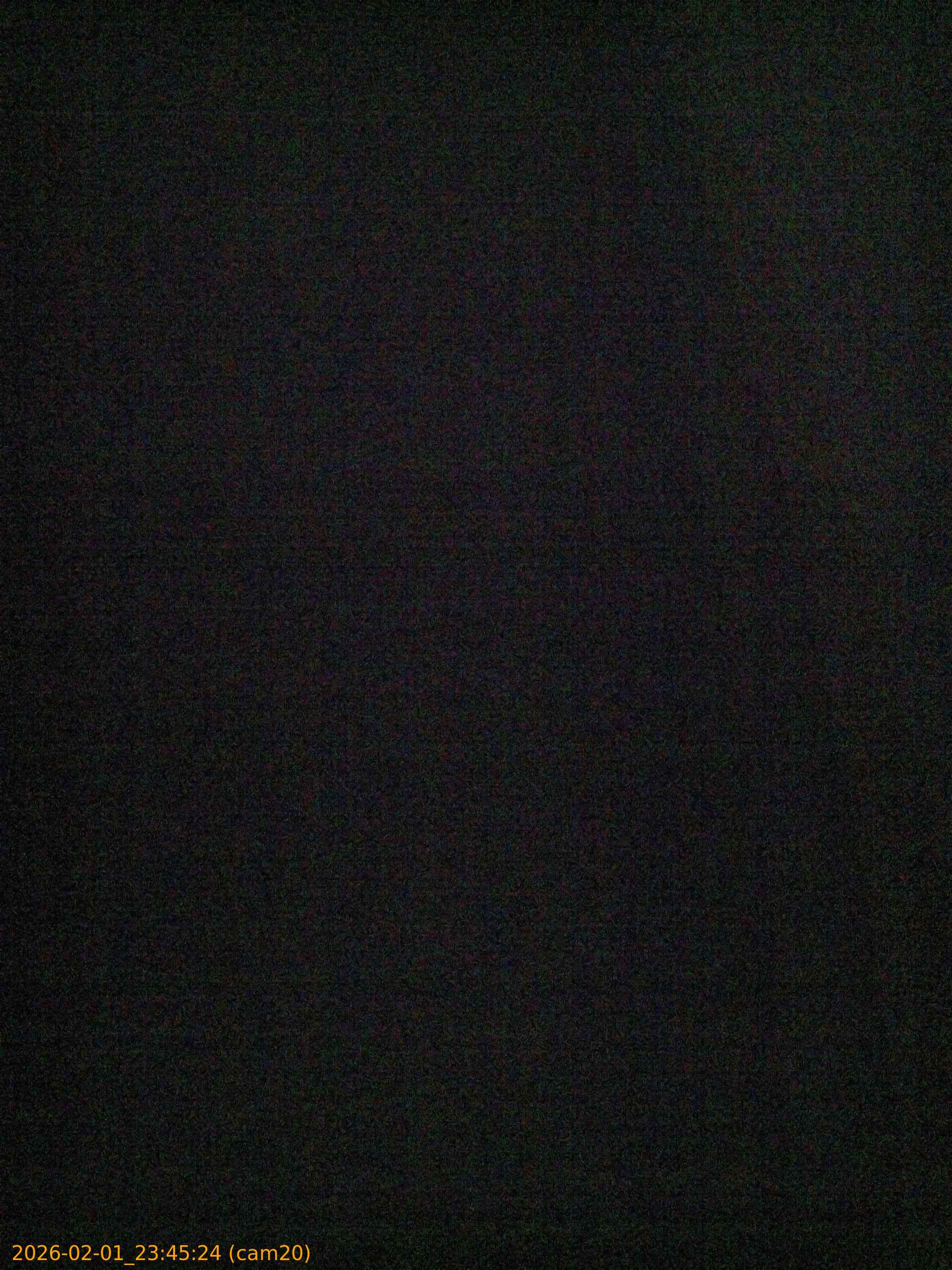 thumbnail_20260201234524