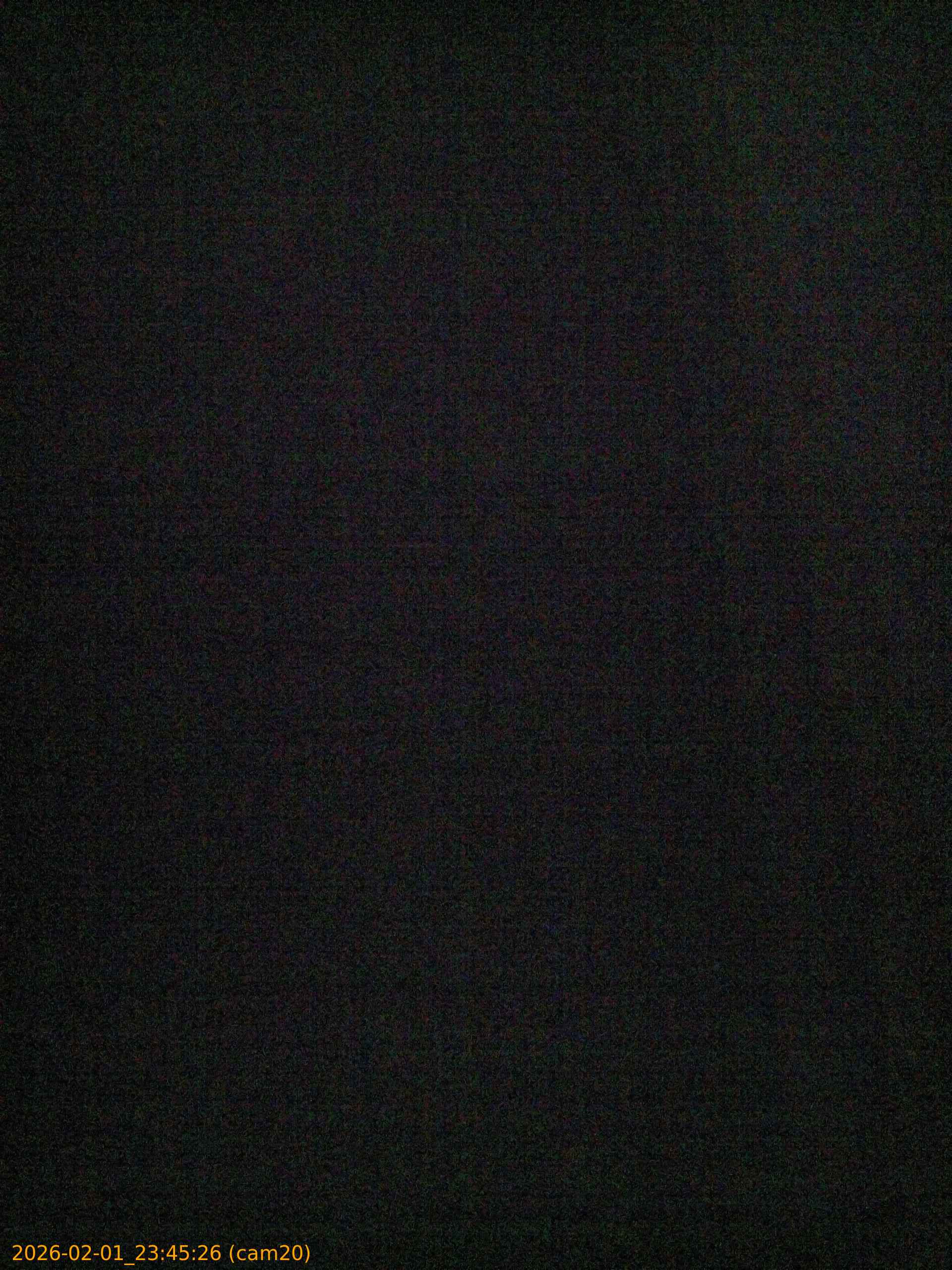 thumbnail_20260201234526