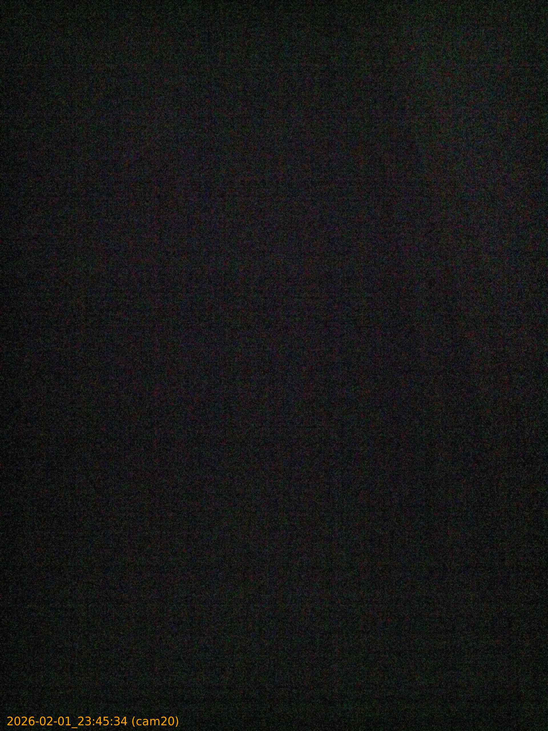 thumbnail_20260201234534