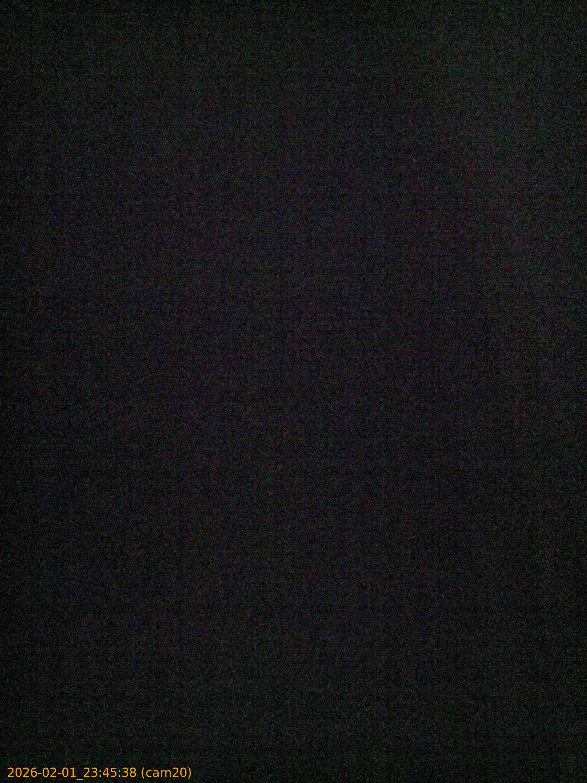 thumbnail_20260201234538