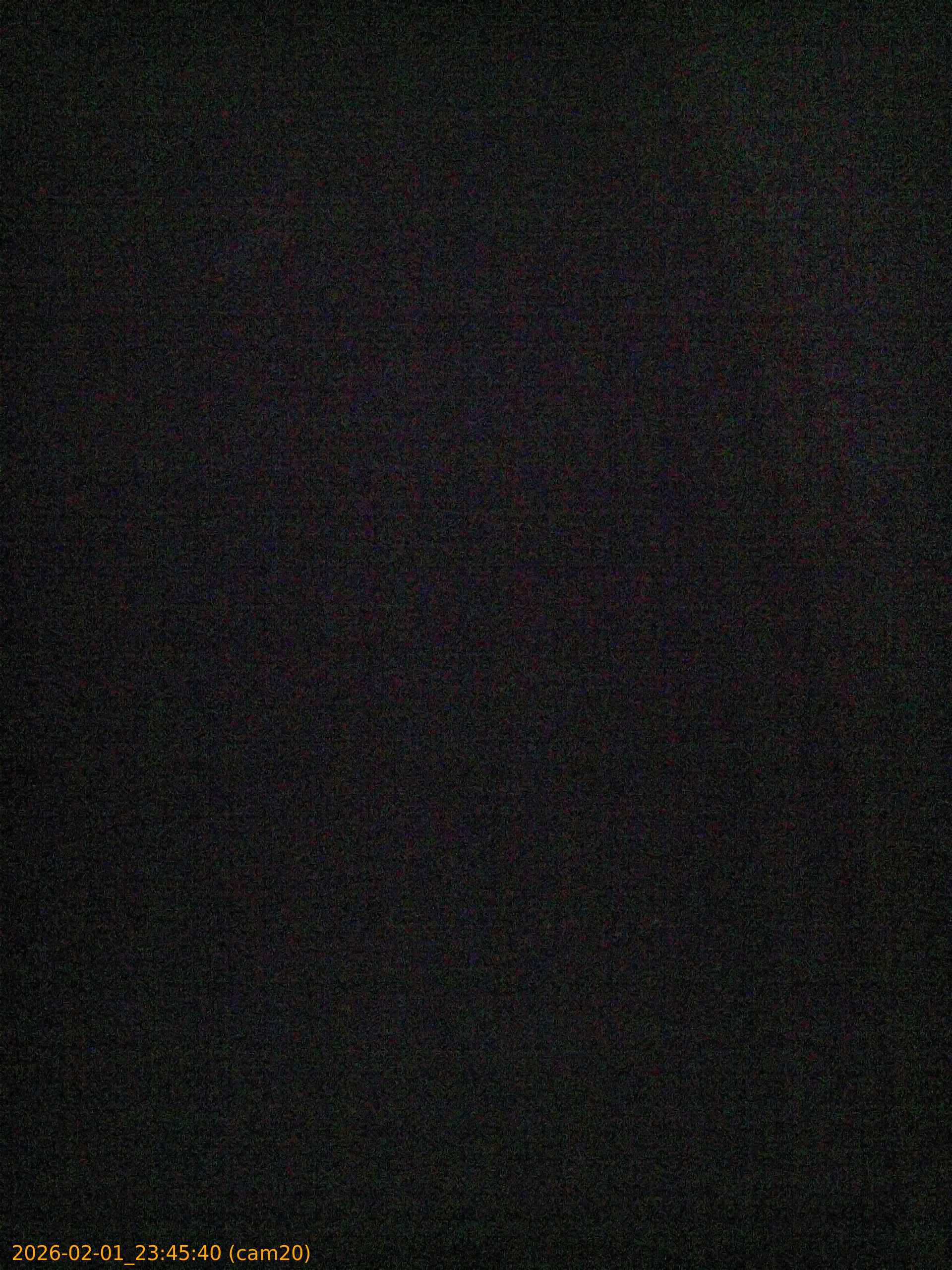 thumbnail_20260201234540