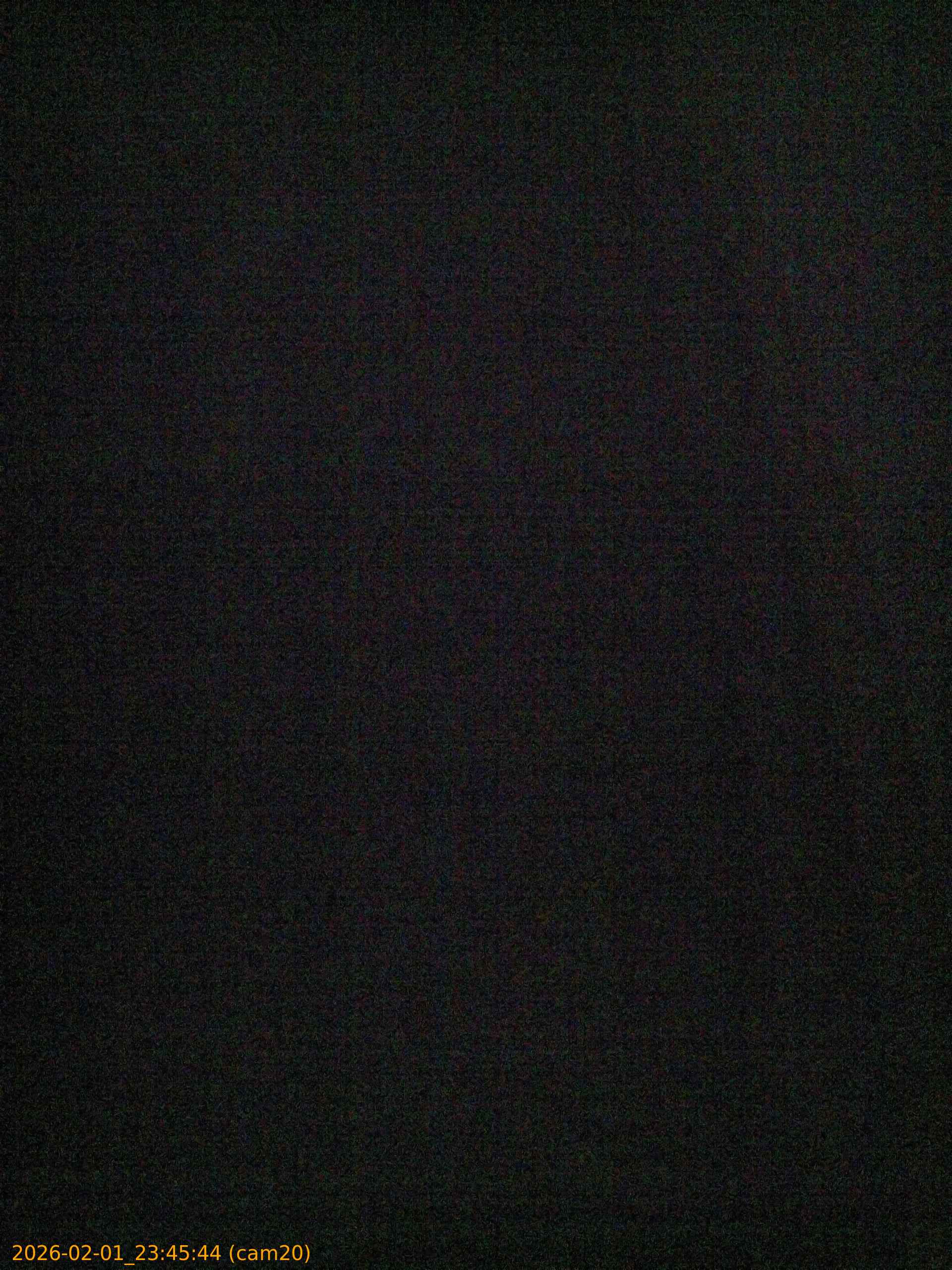 thumbnail_20260201234544