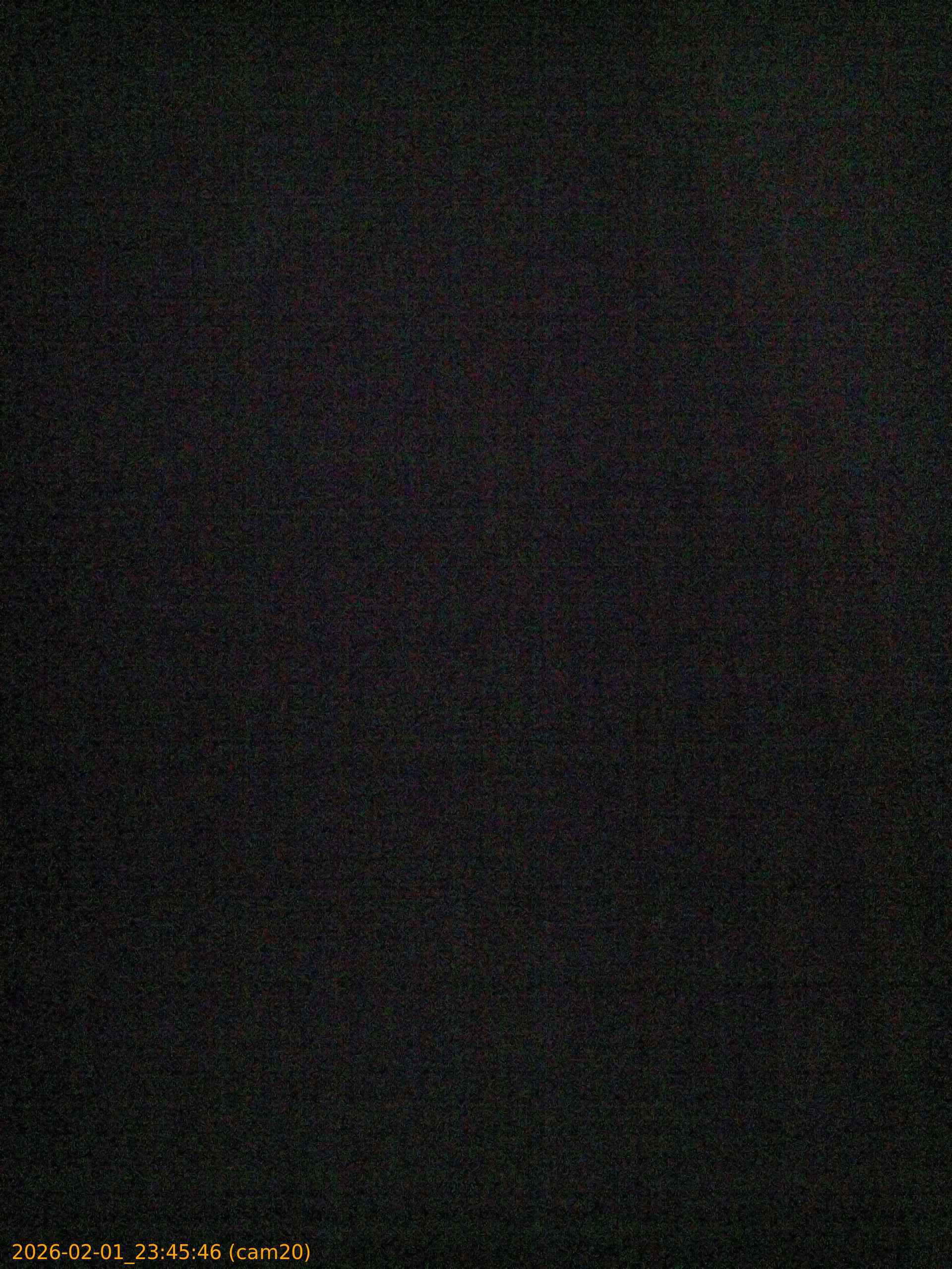 thumbnail_20260201234546