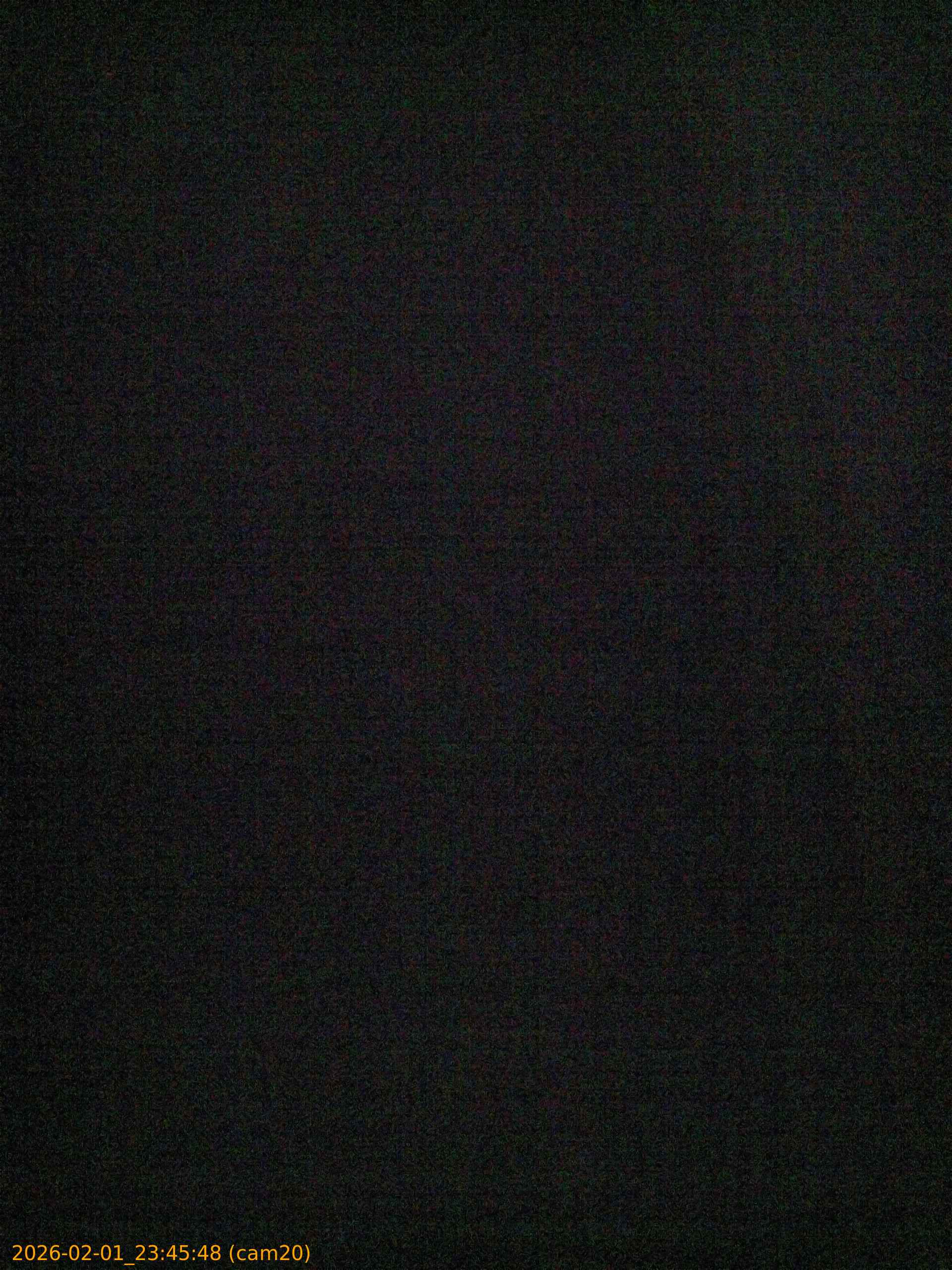 thumbnail_20260201234548