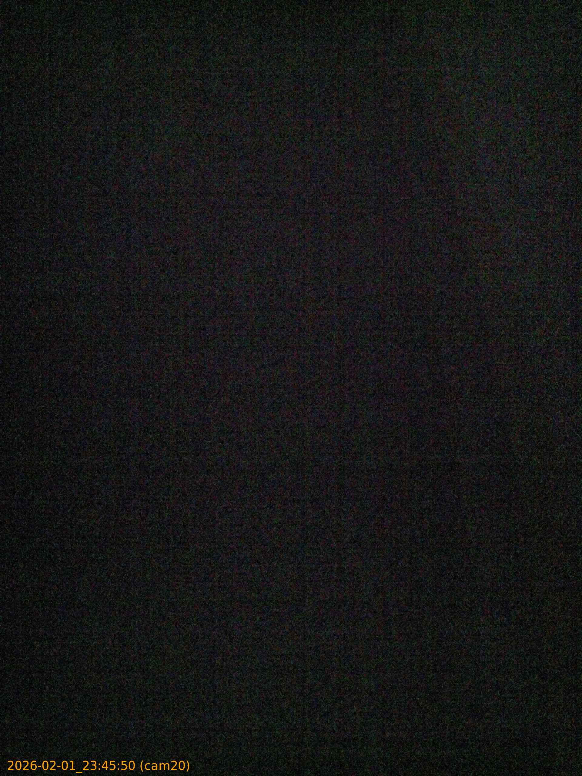 thumbnail_20260201234550