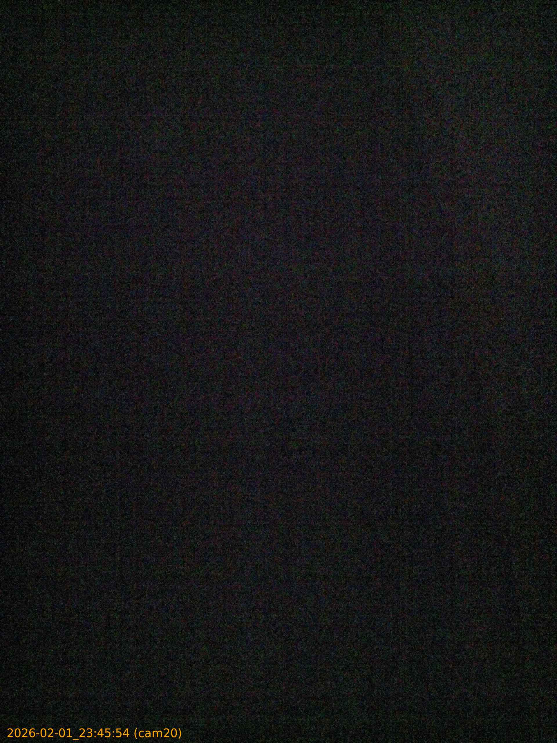 thumbnail_20260201234554