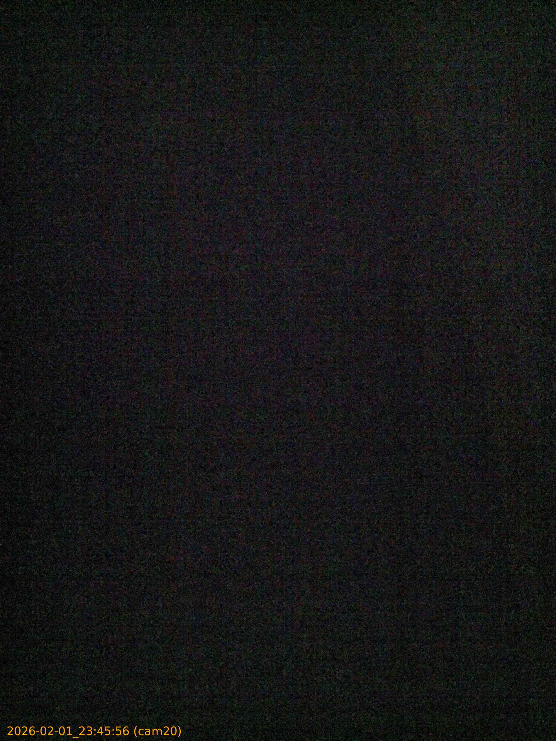 thumbnail_20260201234556